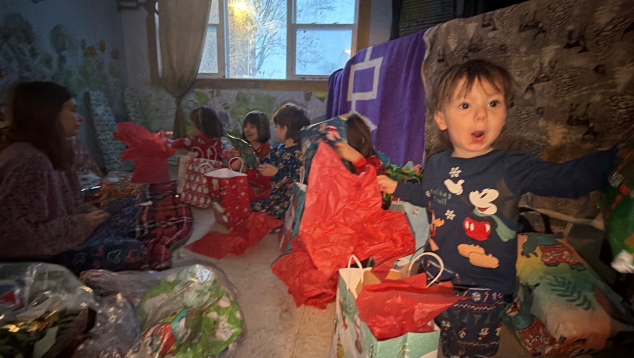 HELP US GET AWAY FROM THE MOLD!!and bully’s!! photo