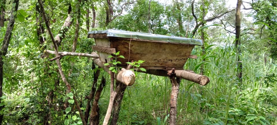 Dikie's Nectar - Sustainable honey farm in Sierra Leone campaign photo, 2 of 8
