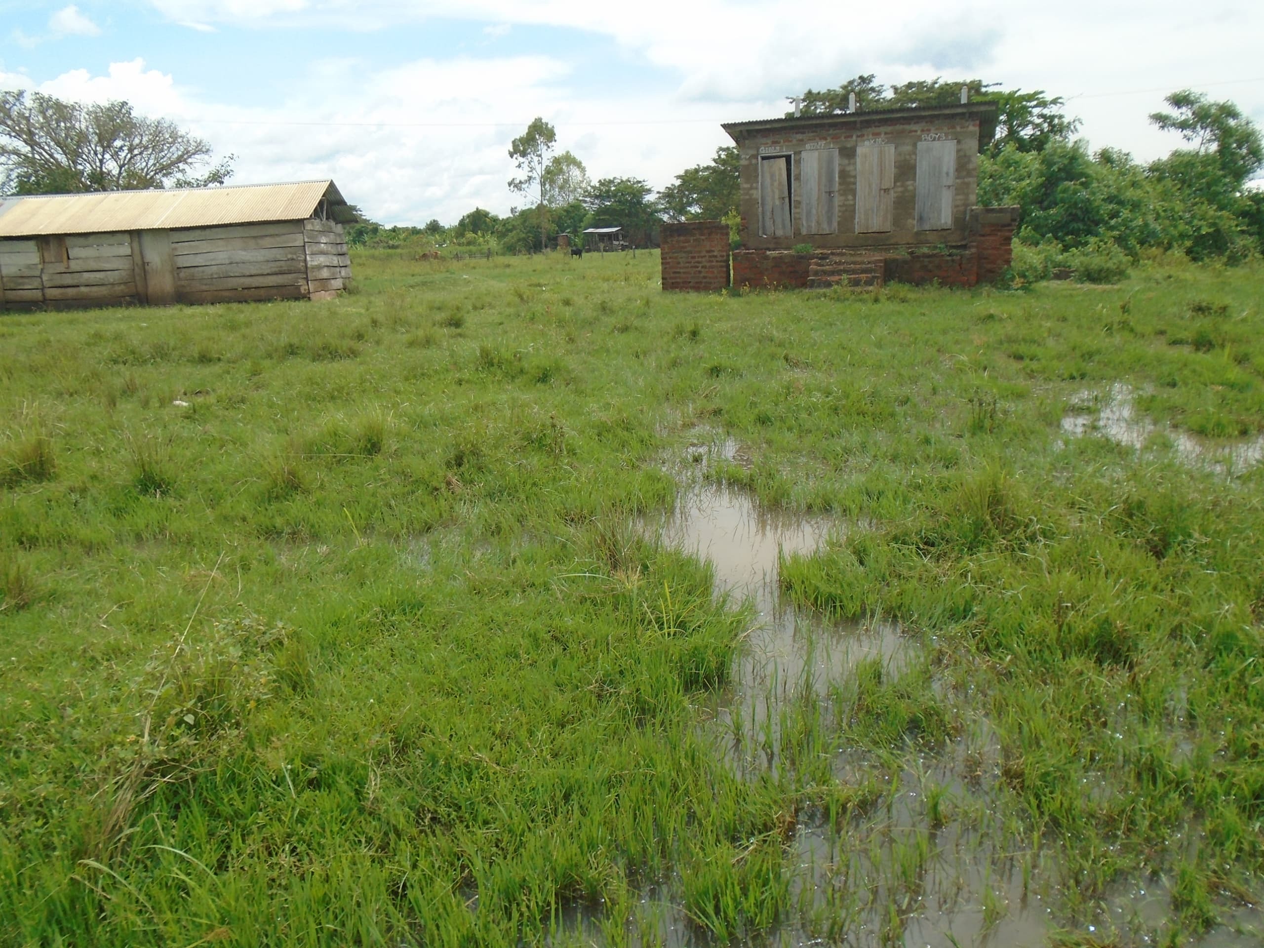 Help Us Save a School in Rural Uganda – Before It’s Too Late campaign photo, 6 of 8