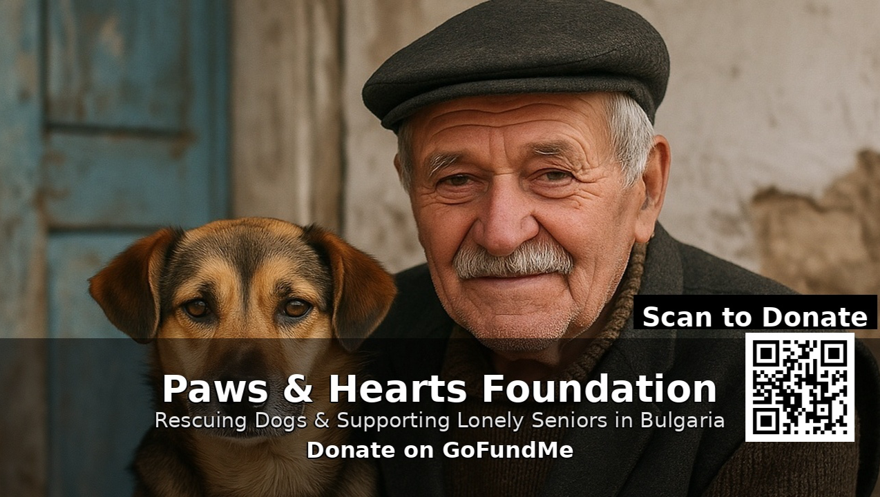 Paws & Hearts – Rescuing Dogs & Supporting Lonely Seniors in photo