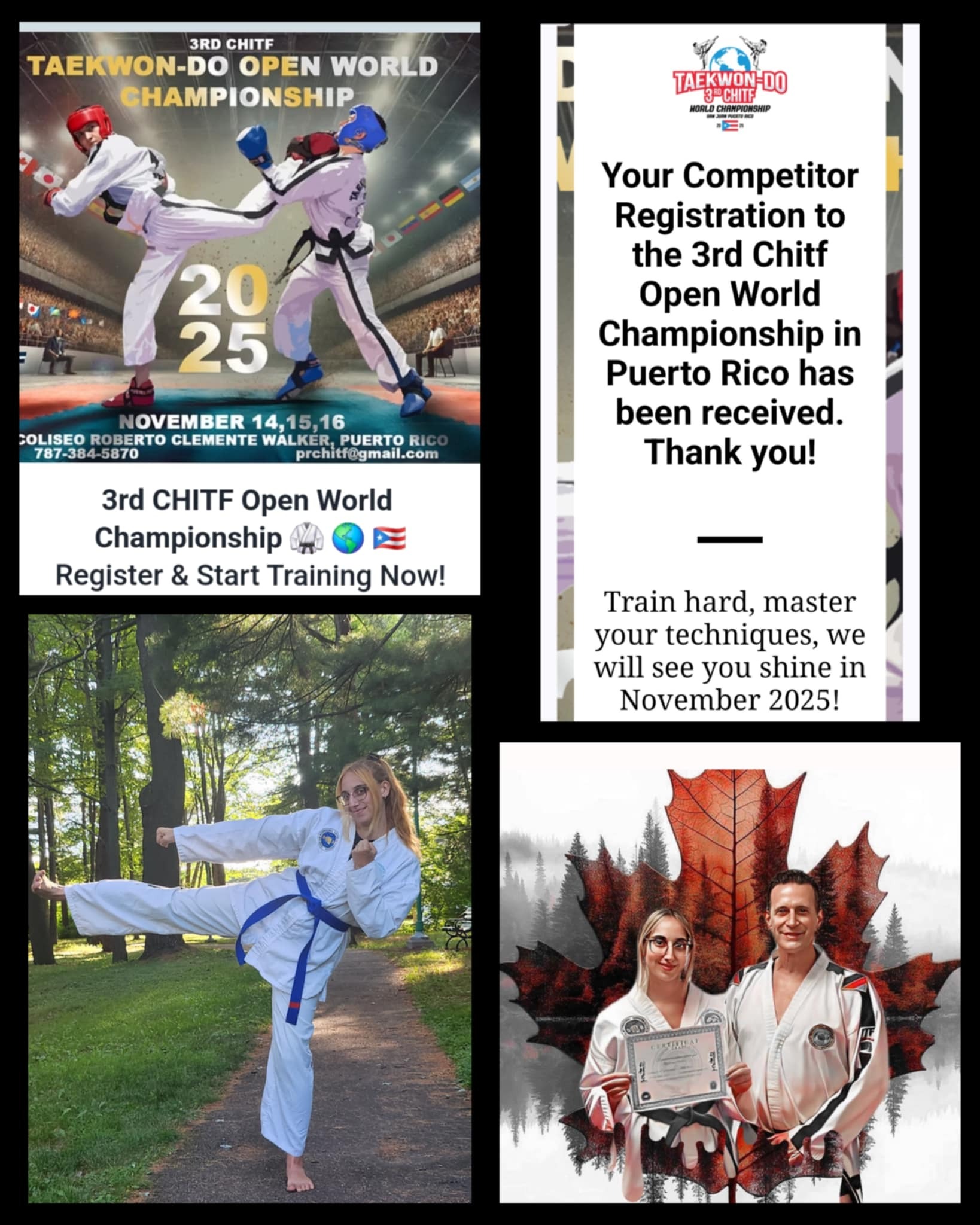 Championnat du monde de taekwondo Puerto Rico campaign photo, 2 of 8