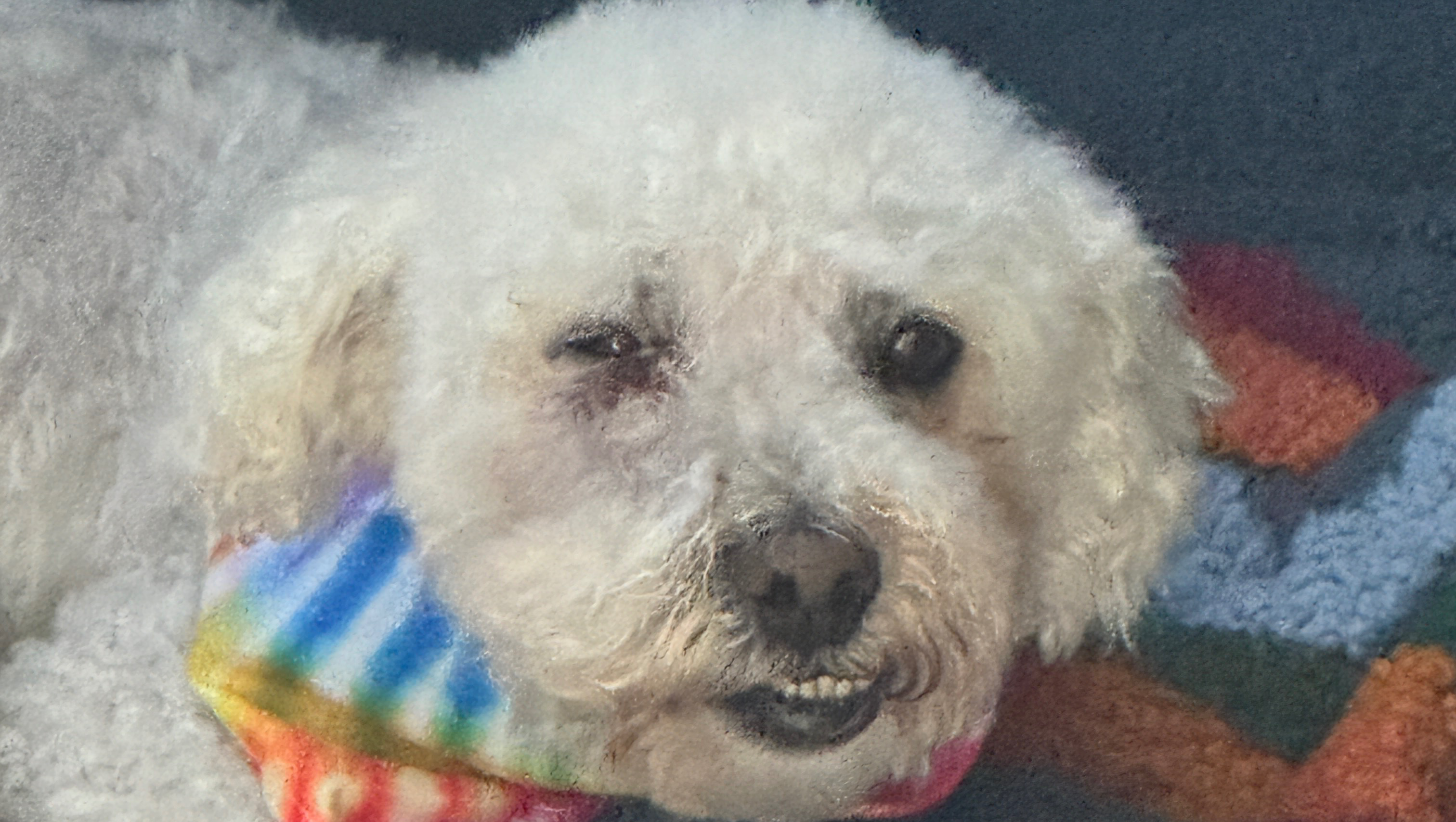 Support Cashew's Eye Surgery and Care photo