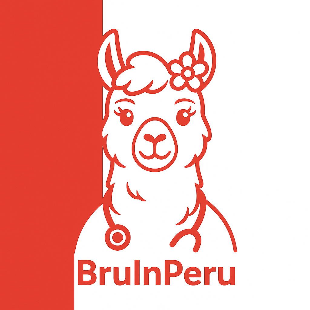 BruInPeru: Equipping Hospitals, One Donation at a Time campaign photo, 2 of 4