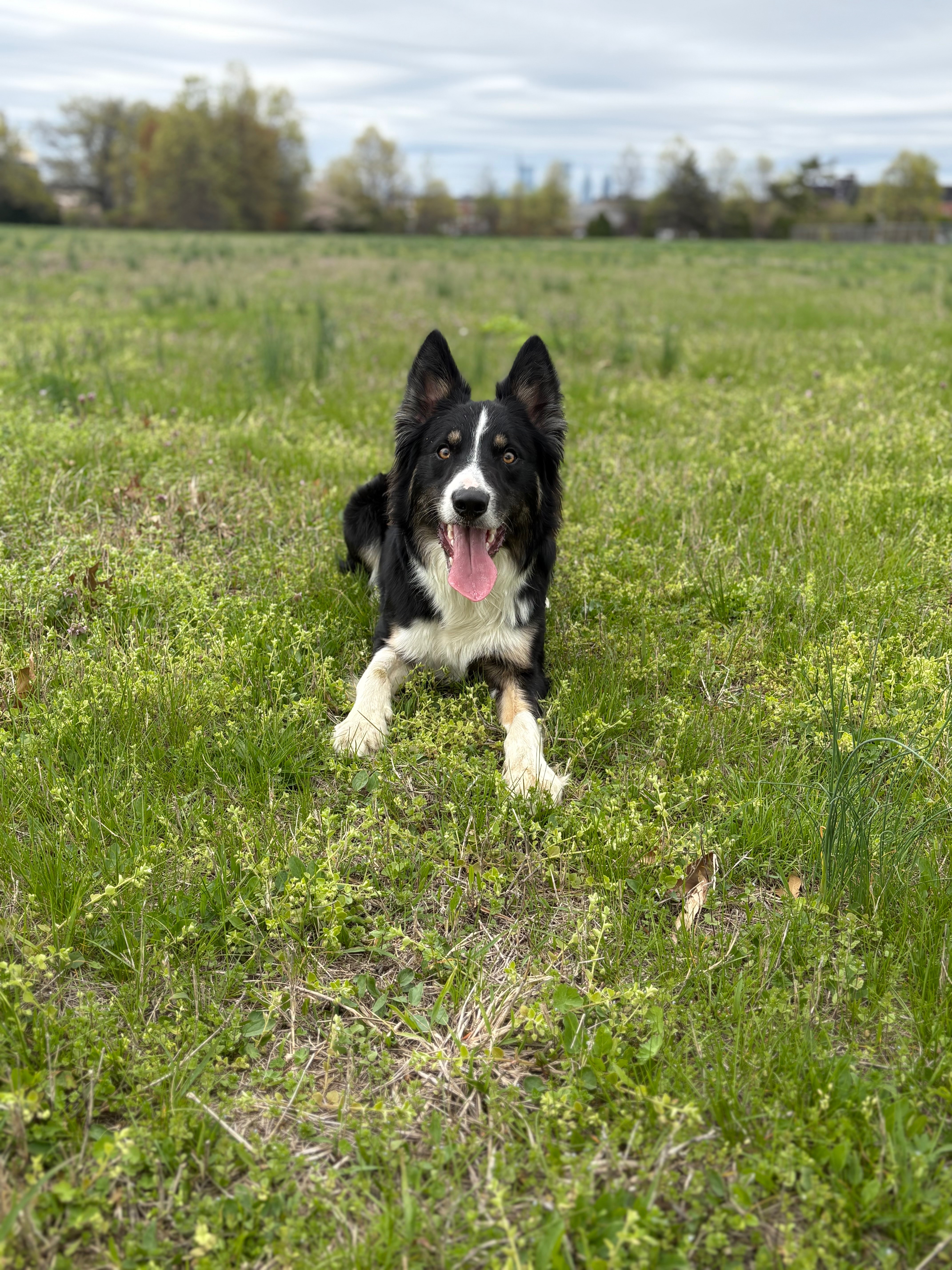 Give Obi a Second Chance to Play Again campaign photo, 5 of 8