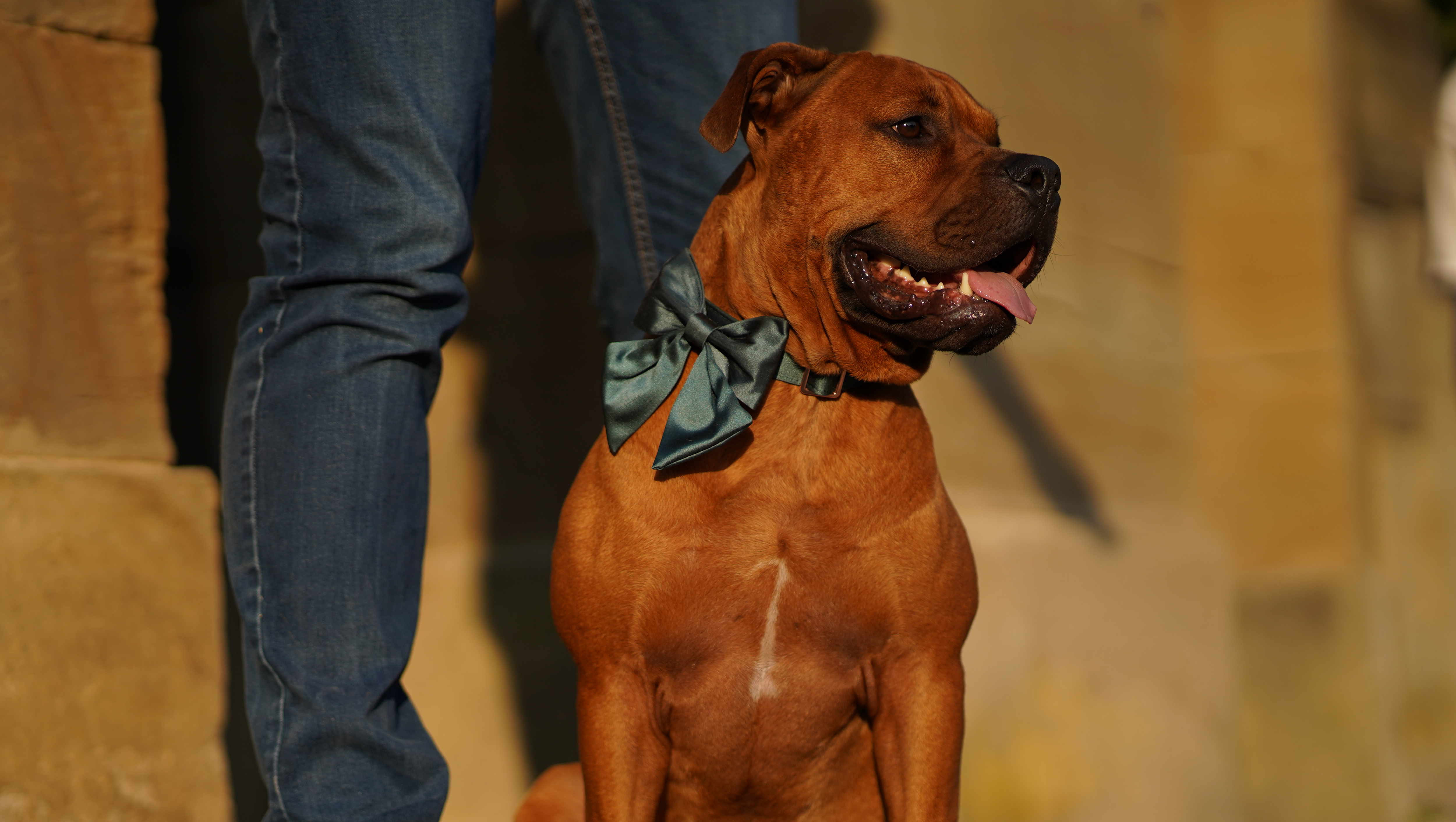 Hilfe für Pablo: Unser Kleiner mit großem Herzen photo