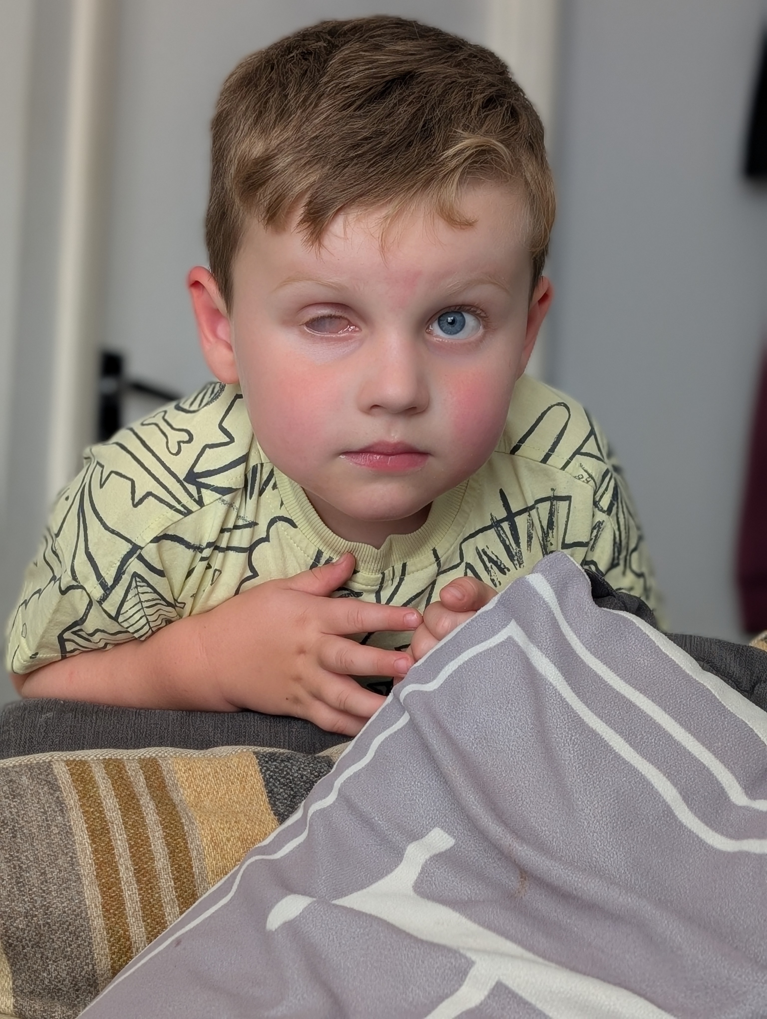 ✨ Help Teddy Get His Dinosaur Eye! ✨ campaign photo, 7 of 8