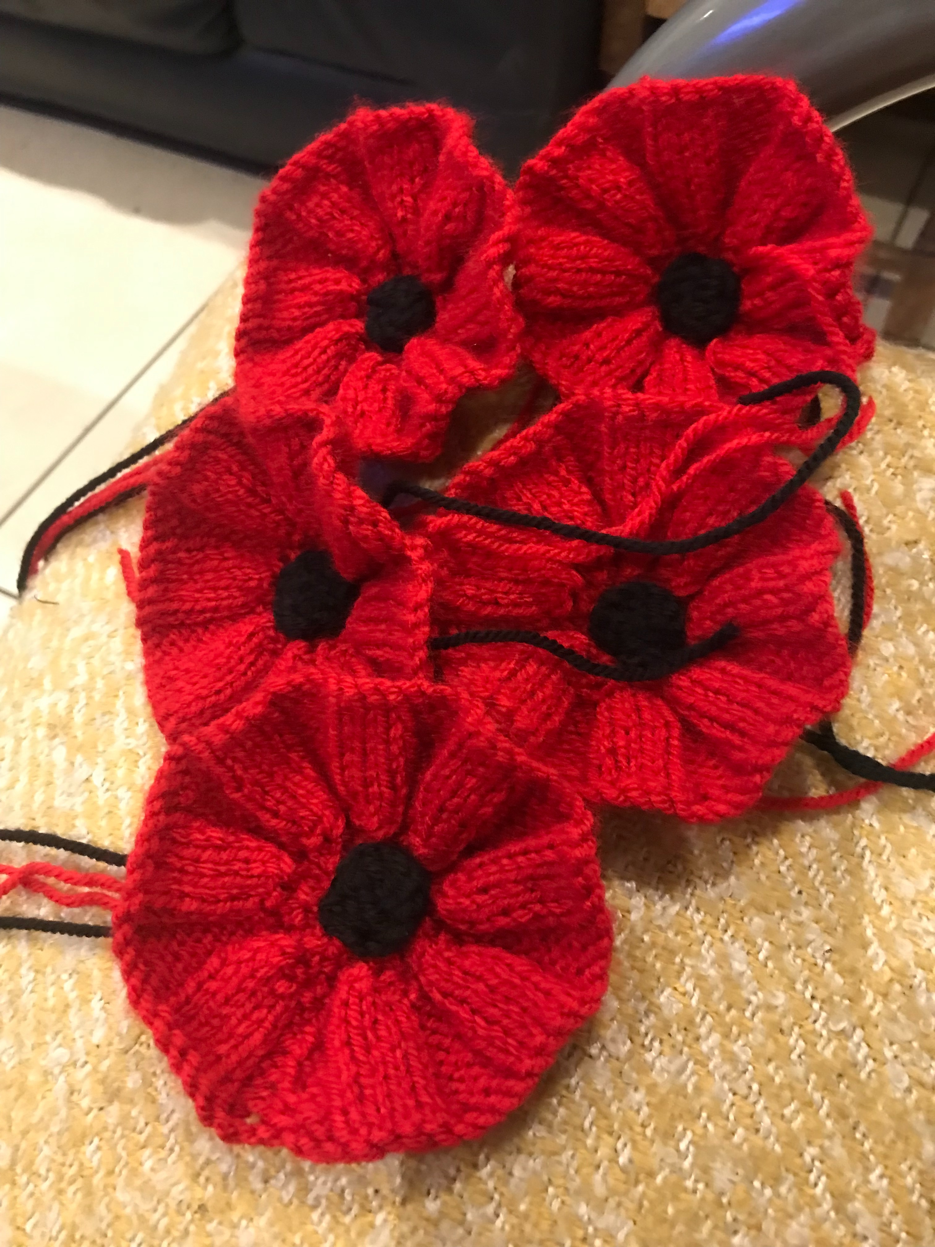 Ripley Poppy Knitters campaign photo, 2 of 4