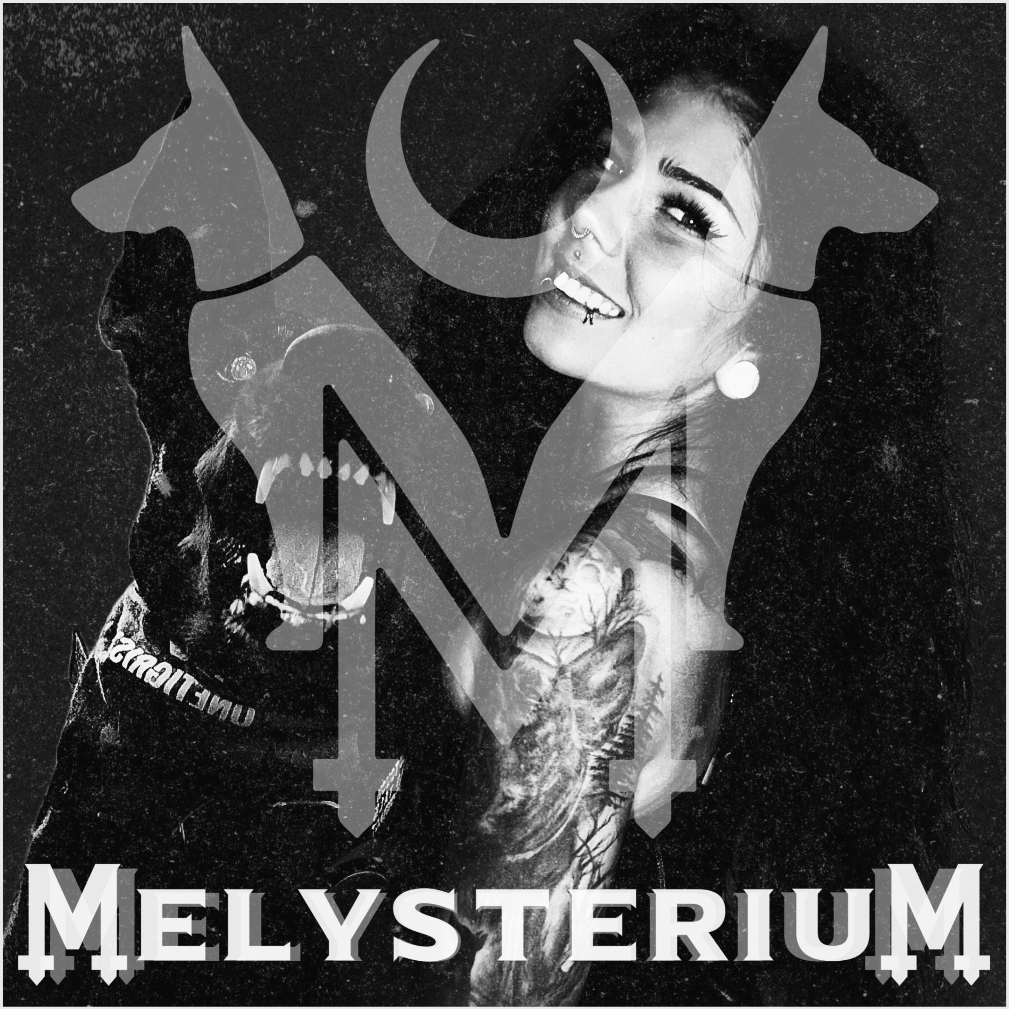 Vom Nutzer hochgeladenes Bild 1