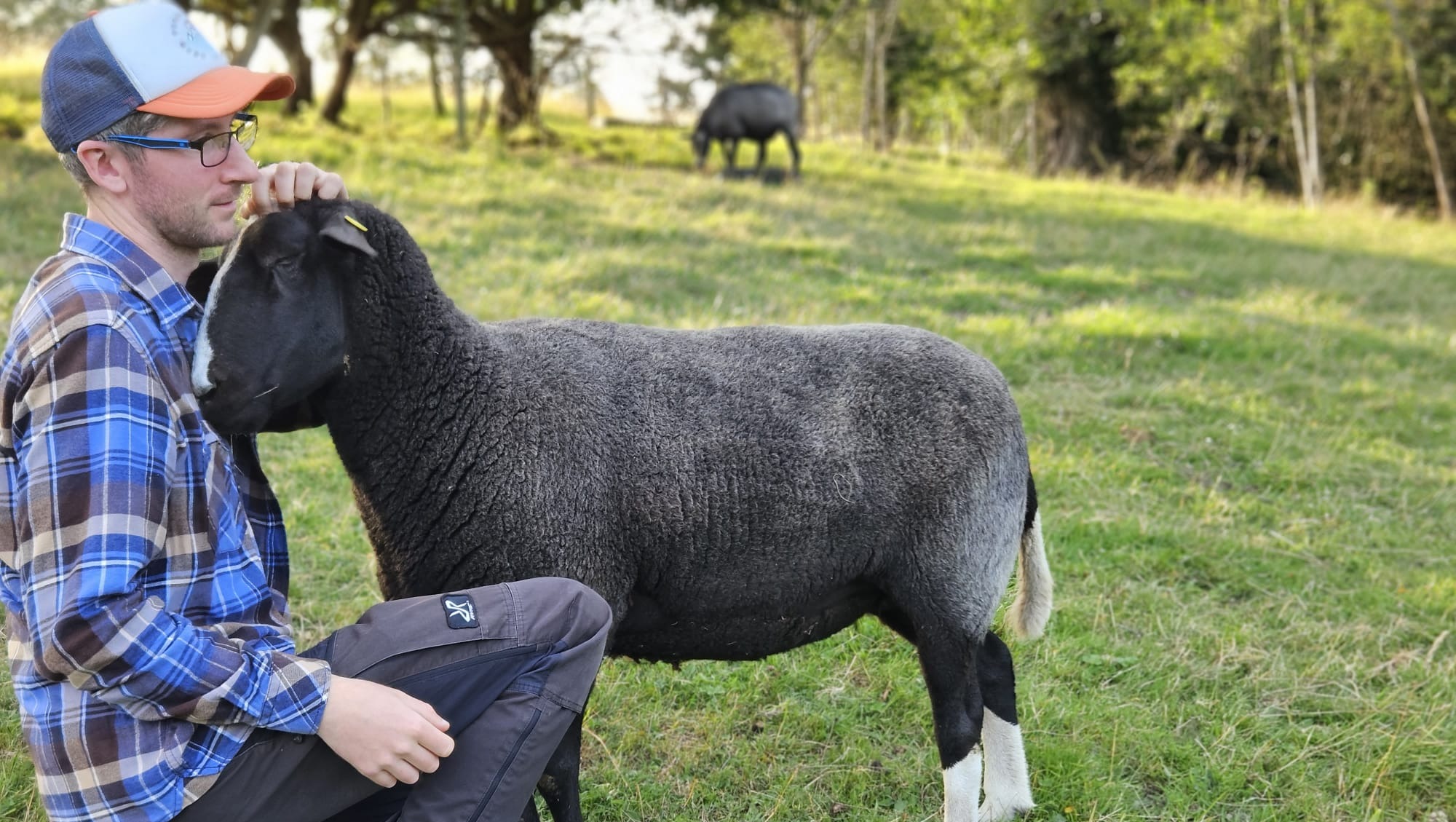 Fundraiser by Callum Glass : Planning costs for an Agricultural barn