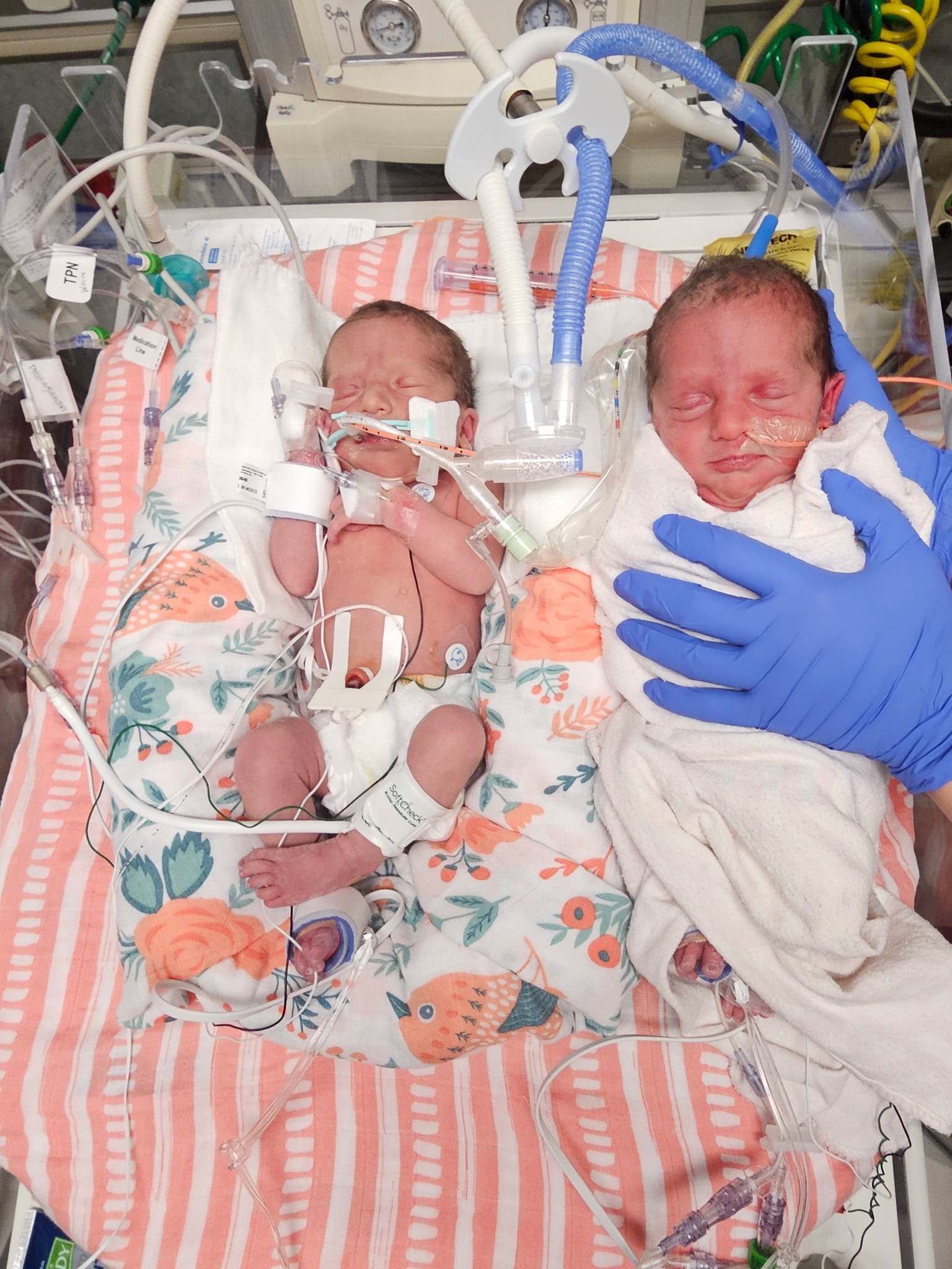 Support for Shawn, Angela, and Their Twin Girls campaign photo, 4 of 6