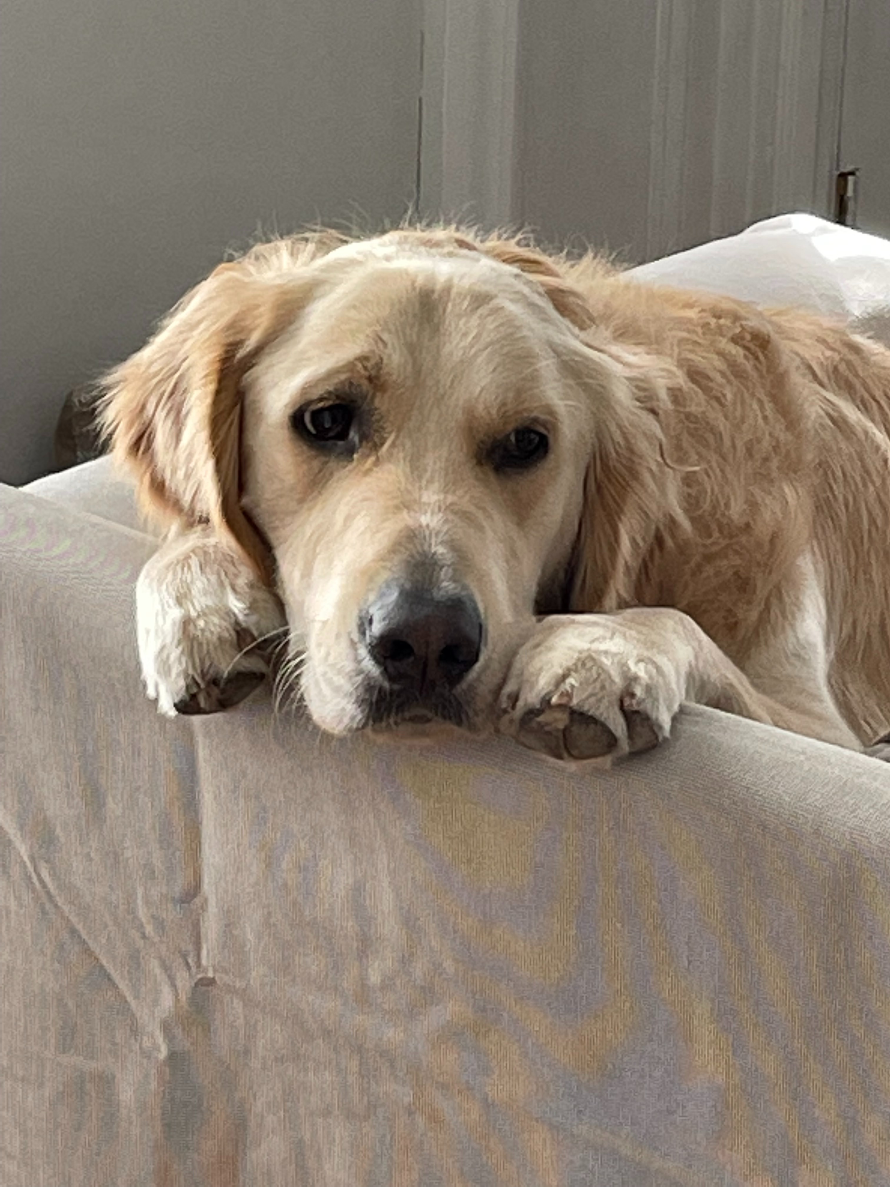 Help Support Logan's Recovery campaign photo, 4 of 8