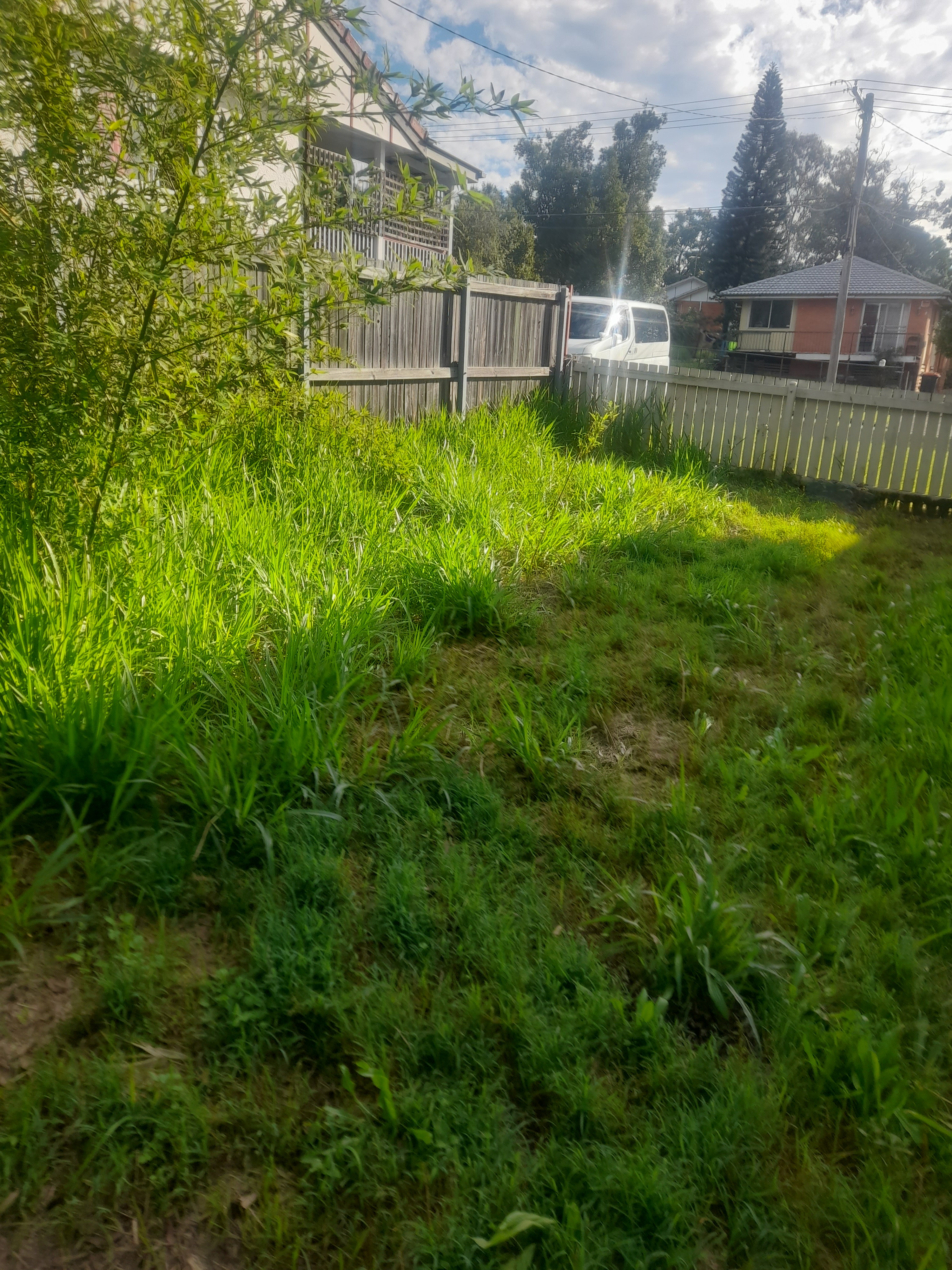 To start a lawn mowing, landscaping,cleaning ecr campaign photo, 2 of 7