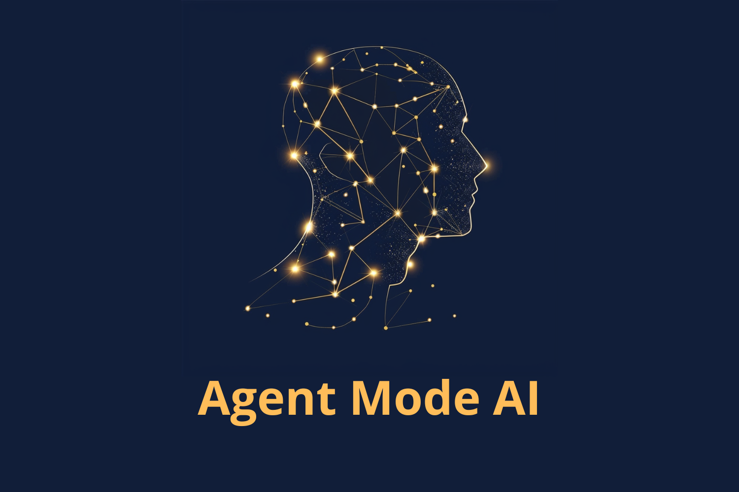 Door de gebruiker geüploade foto 1