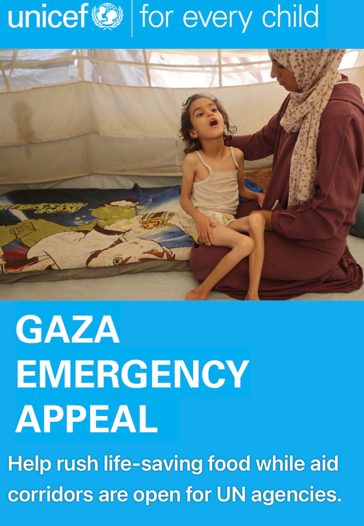 Dublin Half Marathon - Charity Fundraiser for Gaza campaign photo, 2 of 4