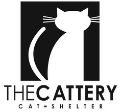 Help The Cattery Cat Shelter Continue Their Life-Saving Work campaign photo, 4 of 8