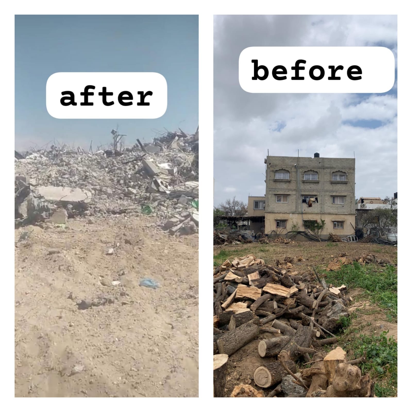 User-uploaded image 1