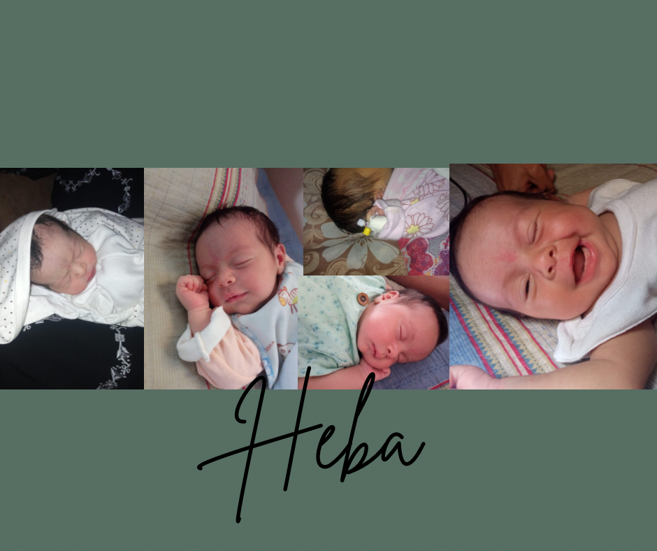 User-uploaded image 1