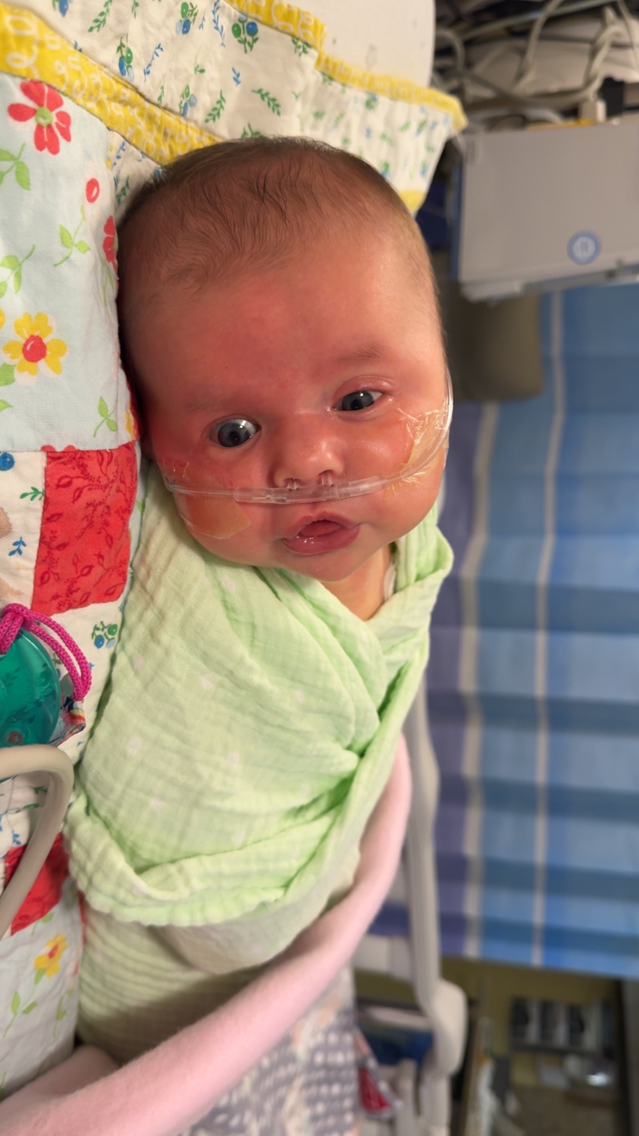 Help Baby Gracelyn Fight Her Tumor campaign photo, 6 of 7