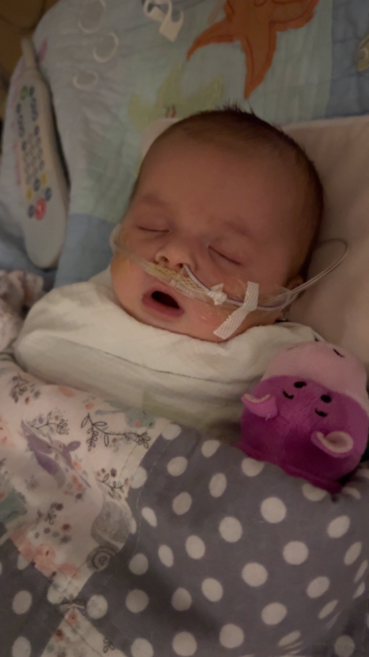 Help Baby Gracelyn Fight Her Tumor campaign photo, 2 of 7