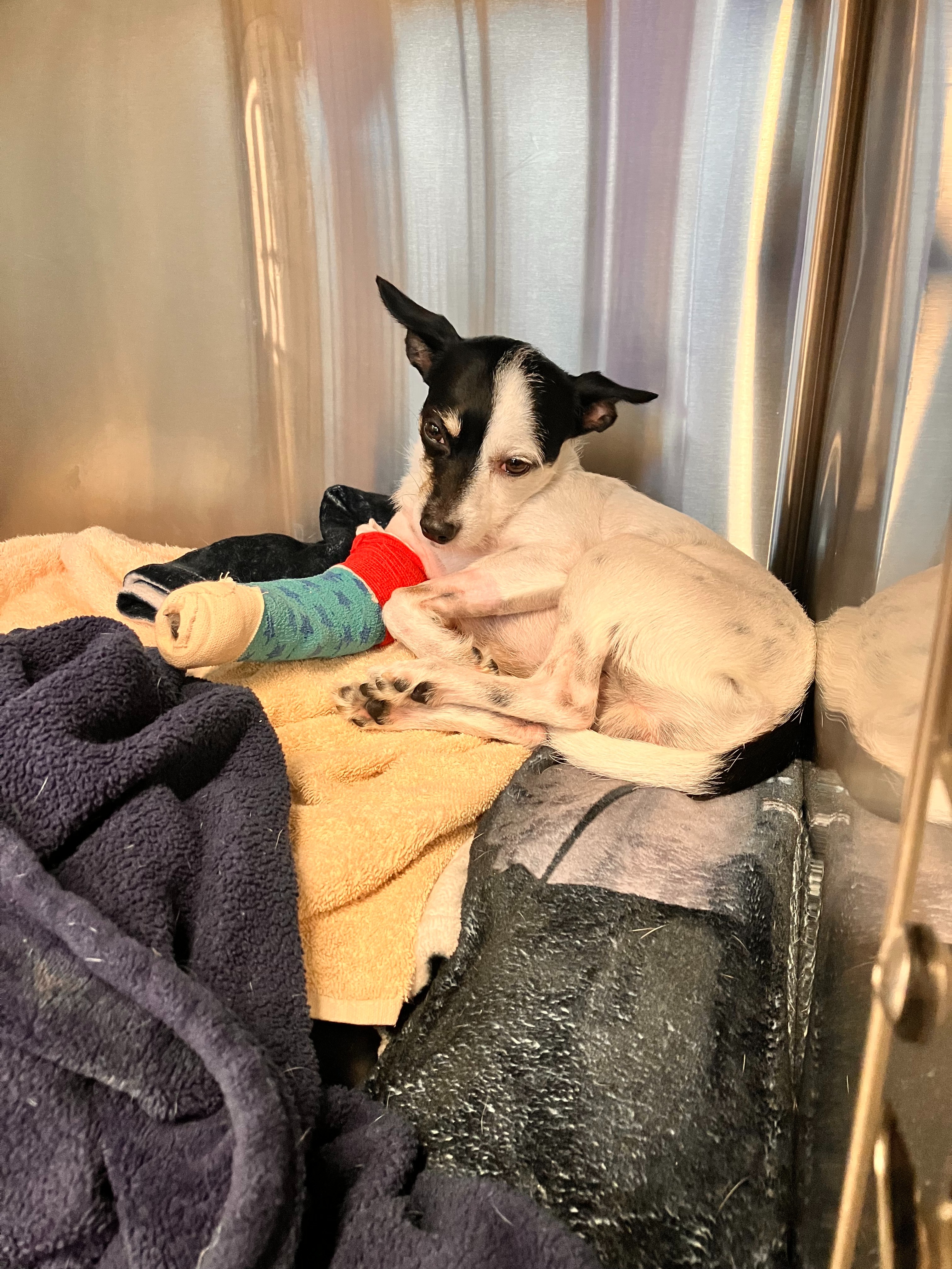 User-uploaded image 1