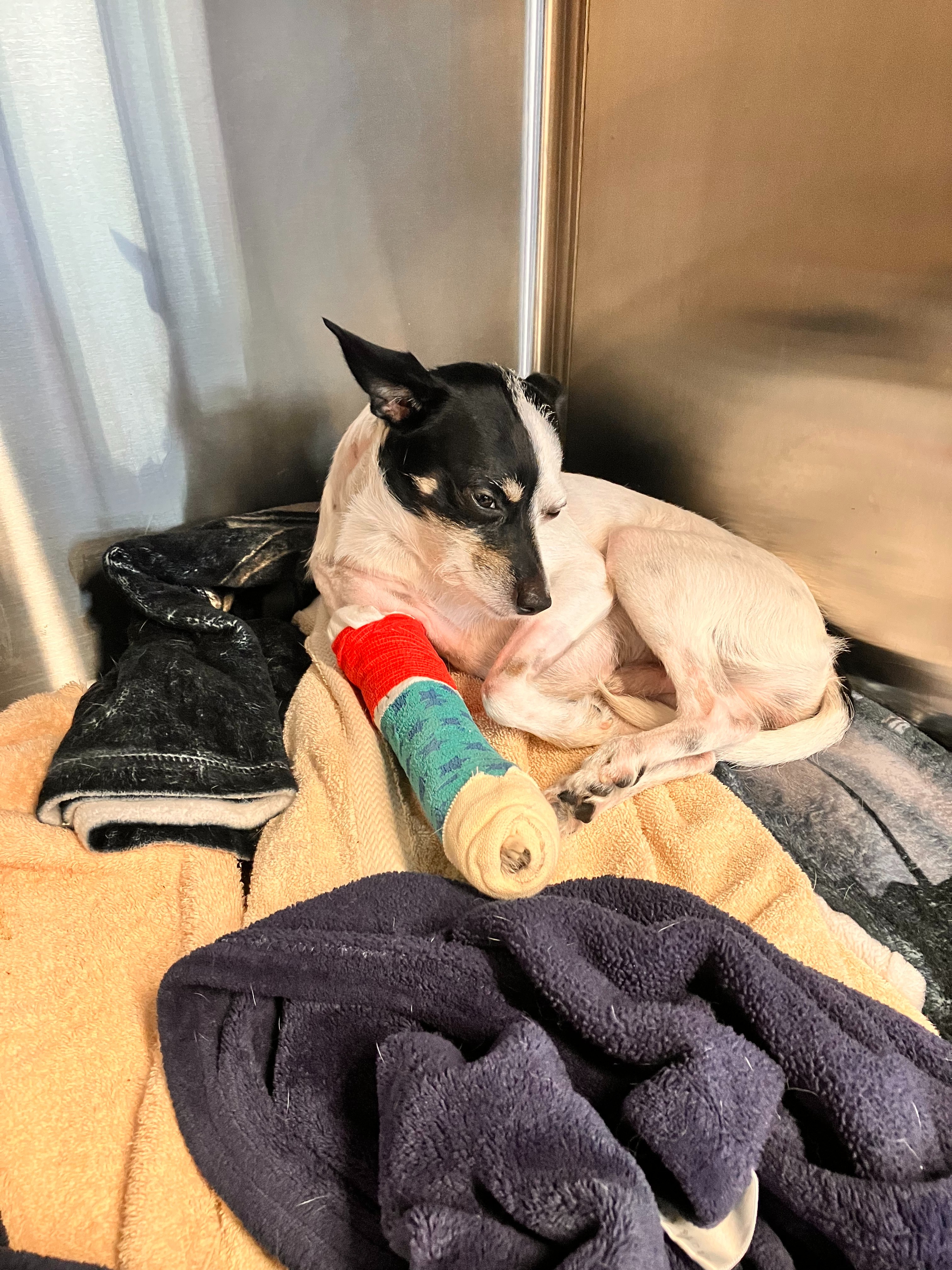 User-uploaded image 2