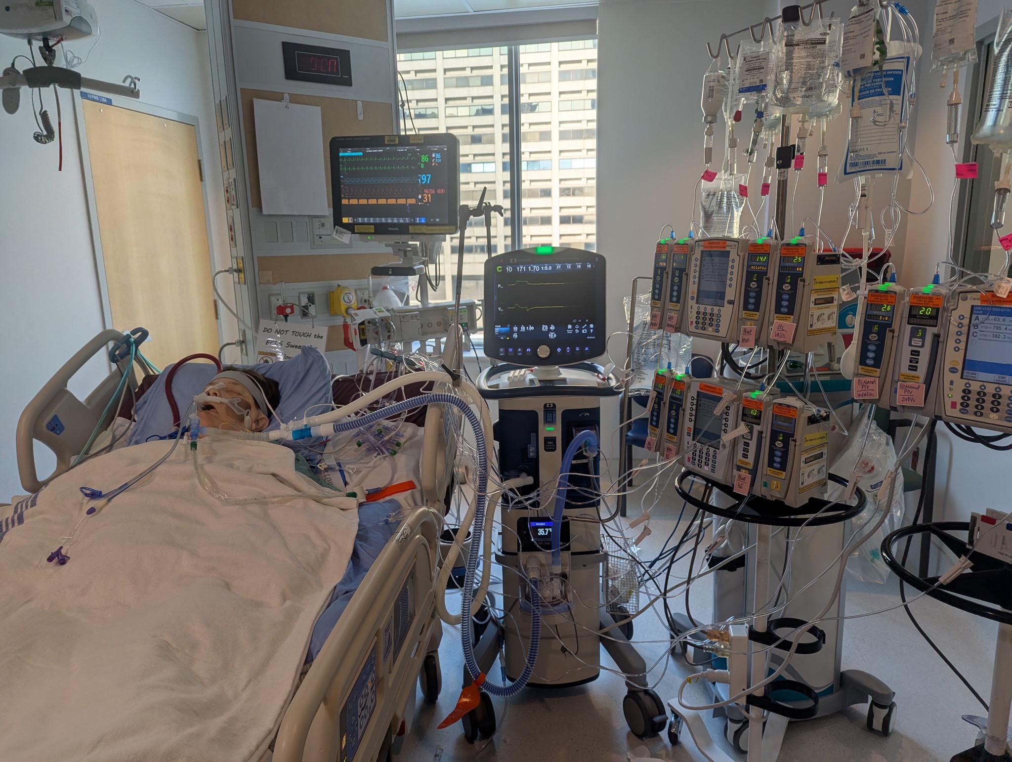 Annette’s Double Lung Transplant Recovery. campaign photo, 2 of 4