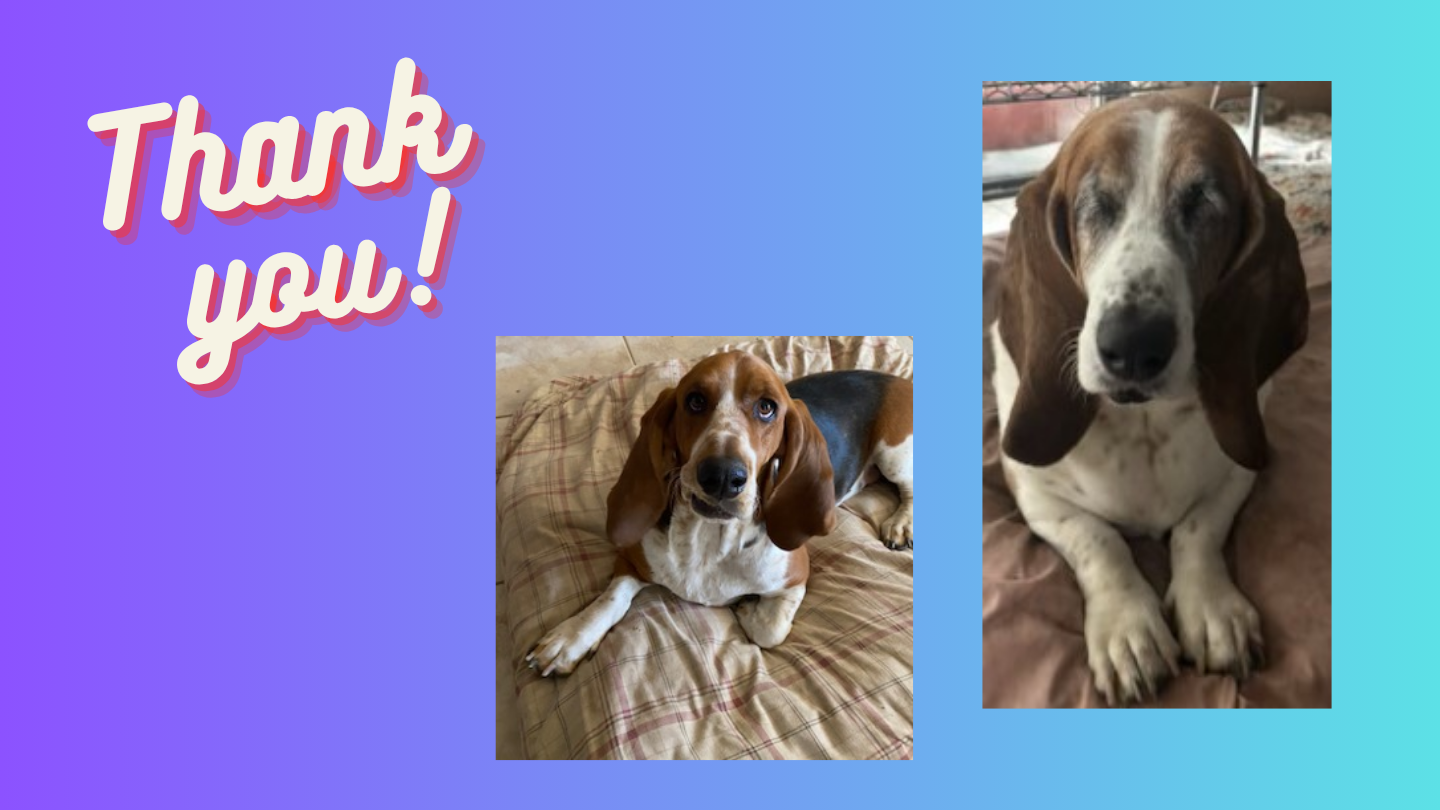 Help Duke & Queen: Vet Bills Overwhelm Us campaign photo, 2 of 4