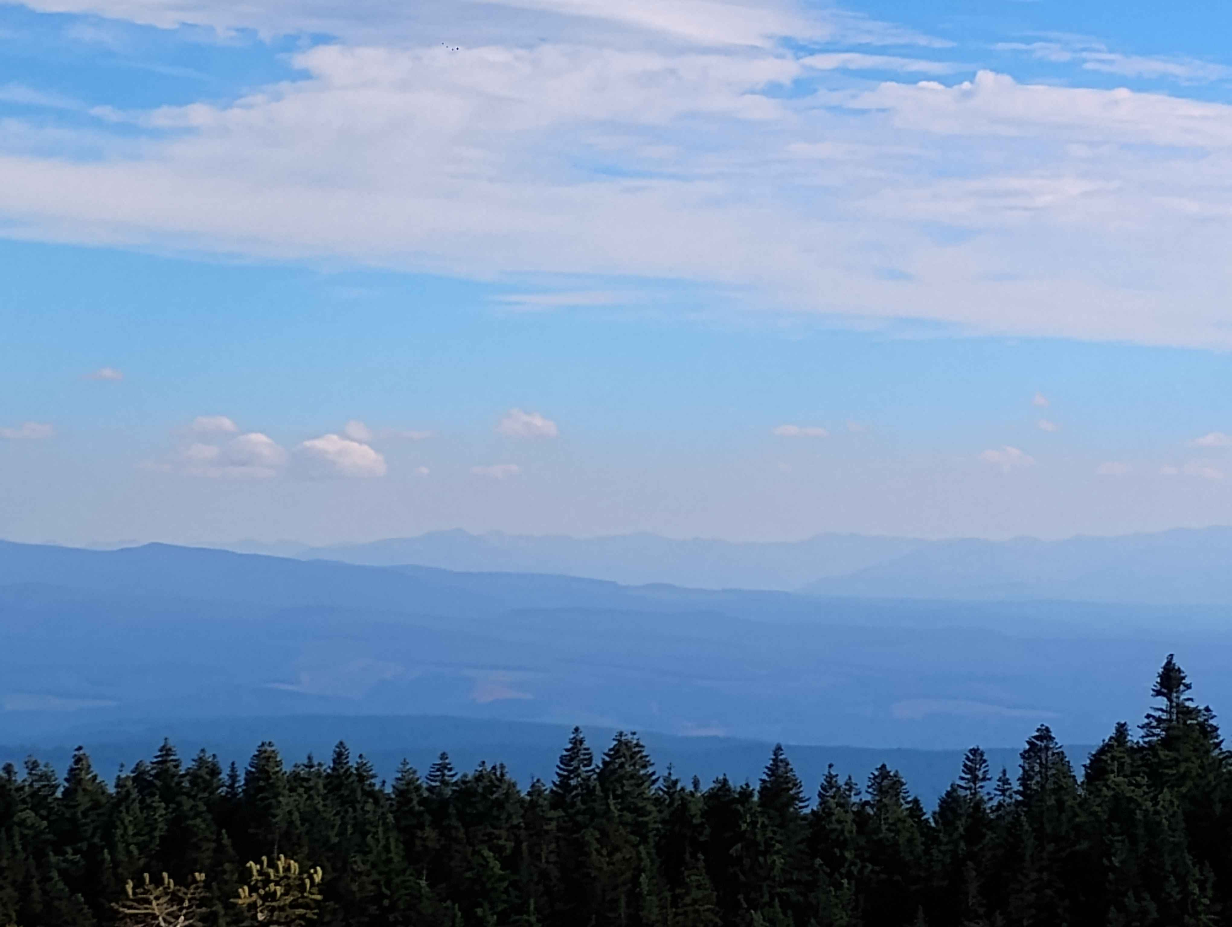 User-uploaded image 1