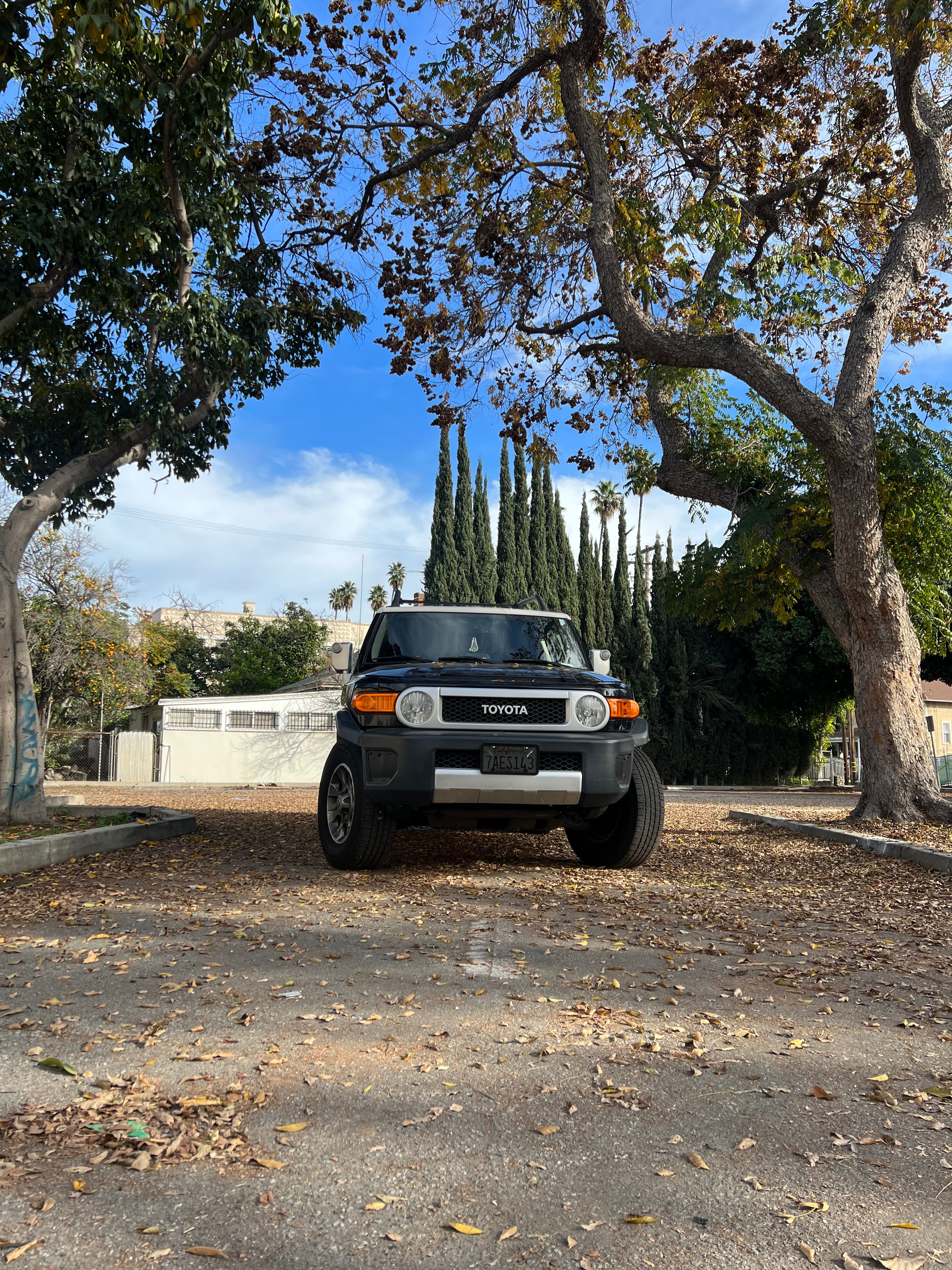 User-uploaded image 1