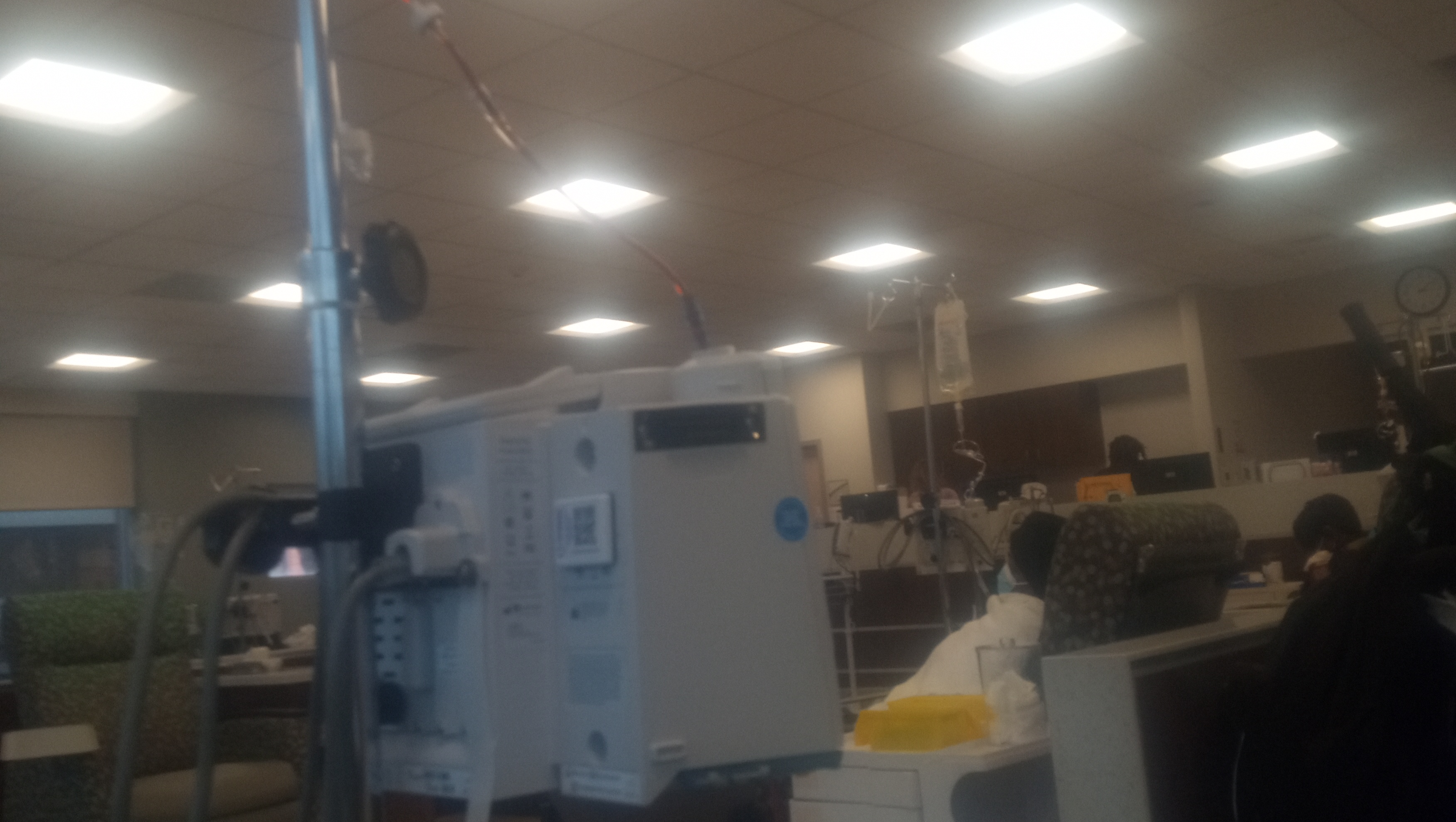 Help Beverly and Iande Find a Safe Home