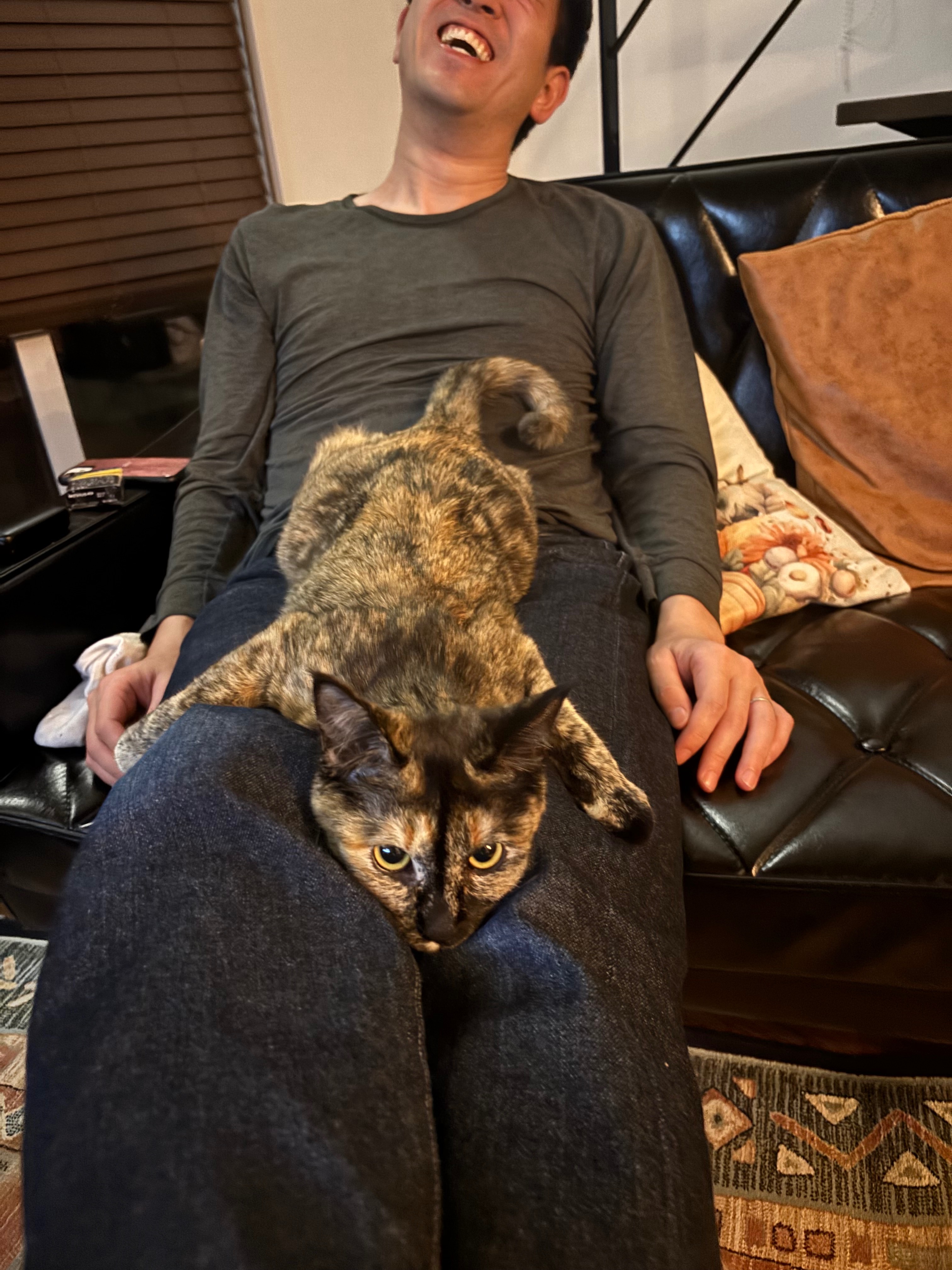 Help us Cover Lunas Emergency Vet Bill campaign photo, 5 of 8