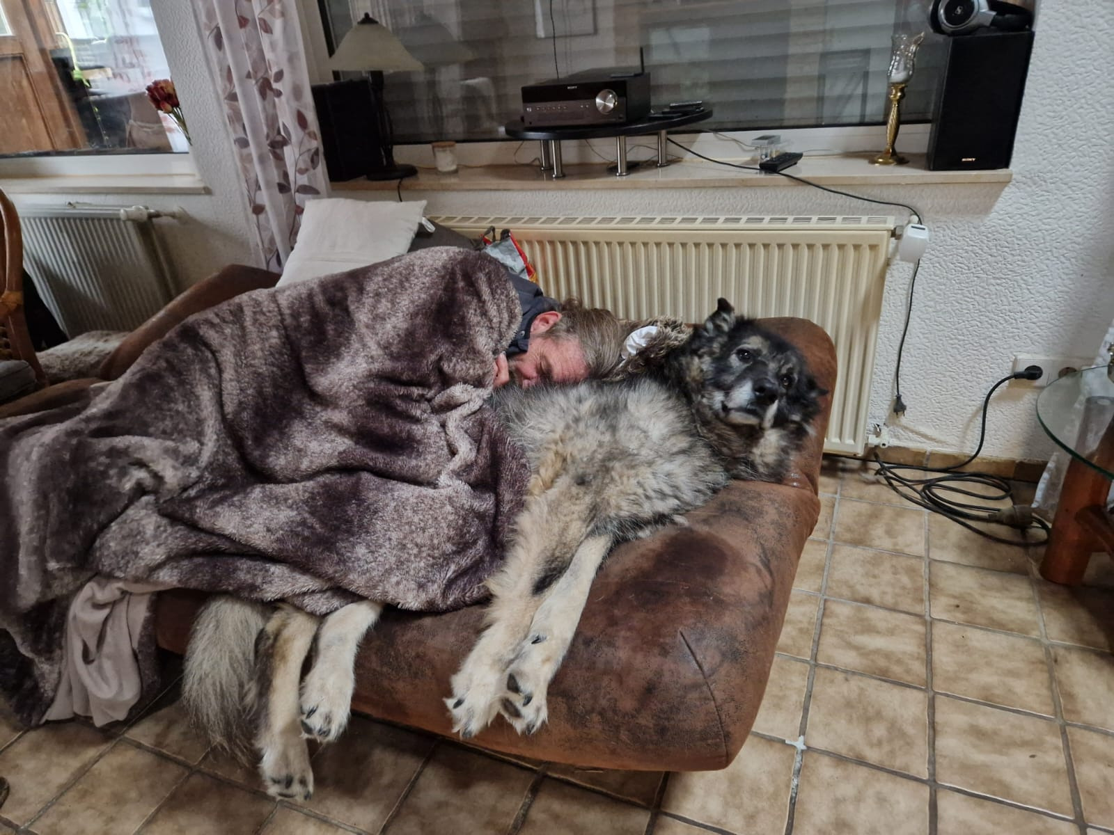 Brauche Hilfe für die OP meines Hundes beim Tierarzt campaign photo, 6 of 8