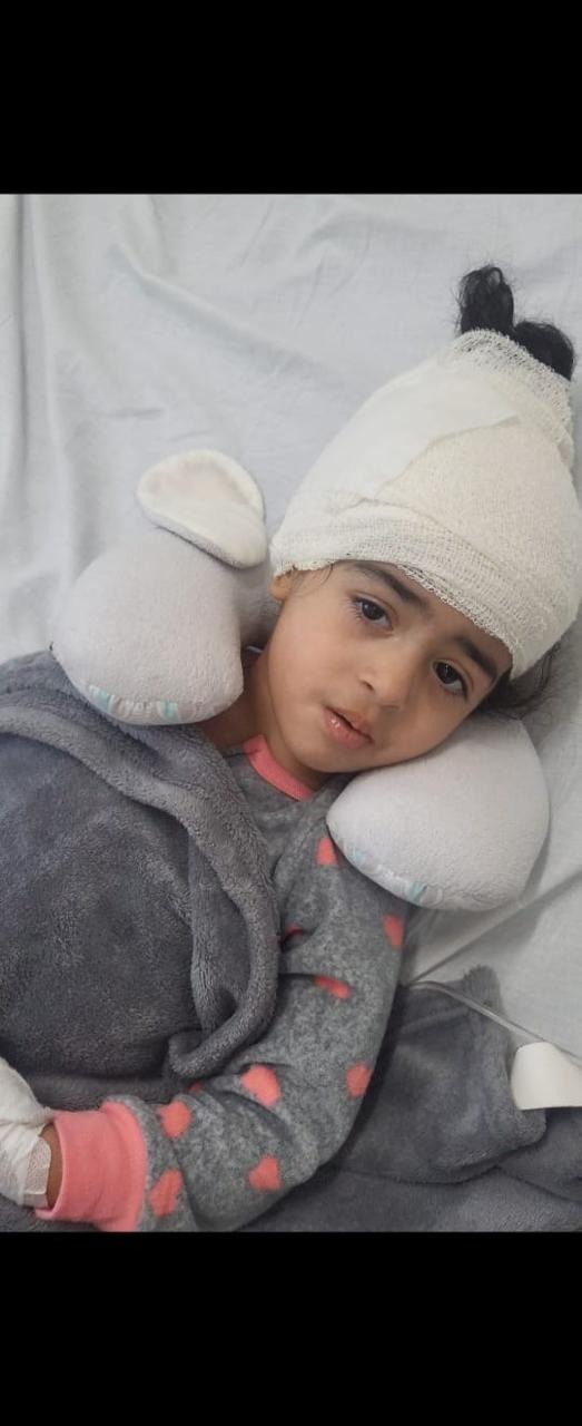A Little Girl’s Fight: Help Rakeen Access Proton Therapy campaign photo, 4 of 8
