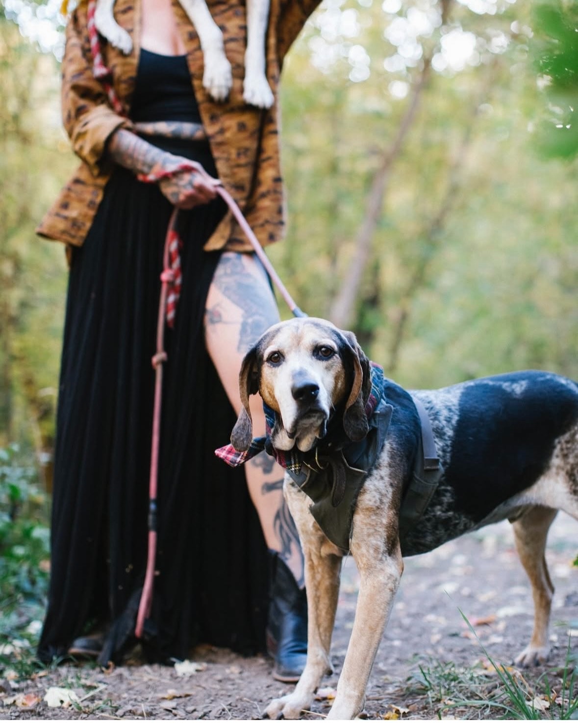 Help Jessi Save Abel: Urgent Medical Care Needed campaign photo, 5 of 6
