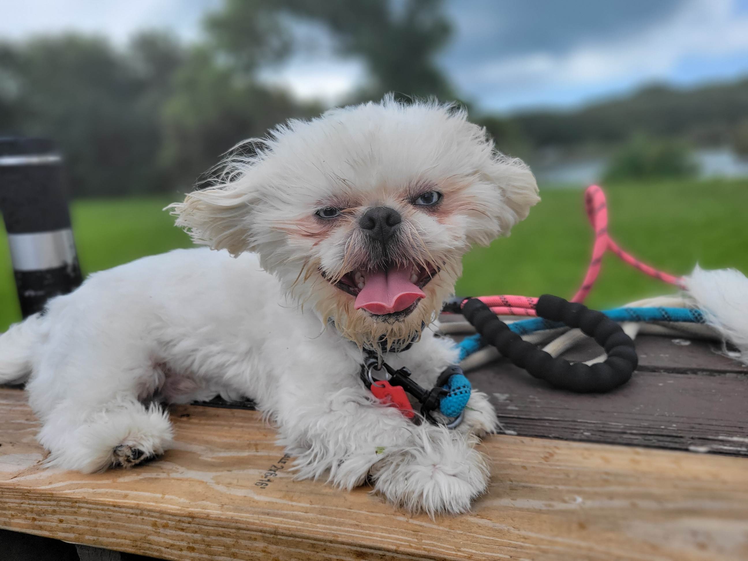 Save Mateo's Life: Surgery for His Spine campaign photo, 4 of 7