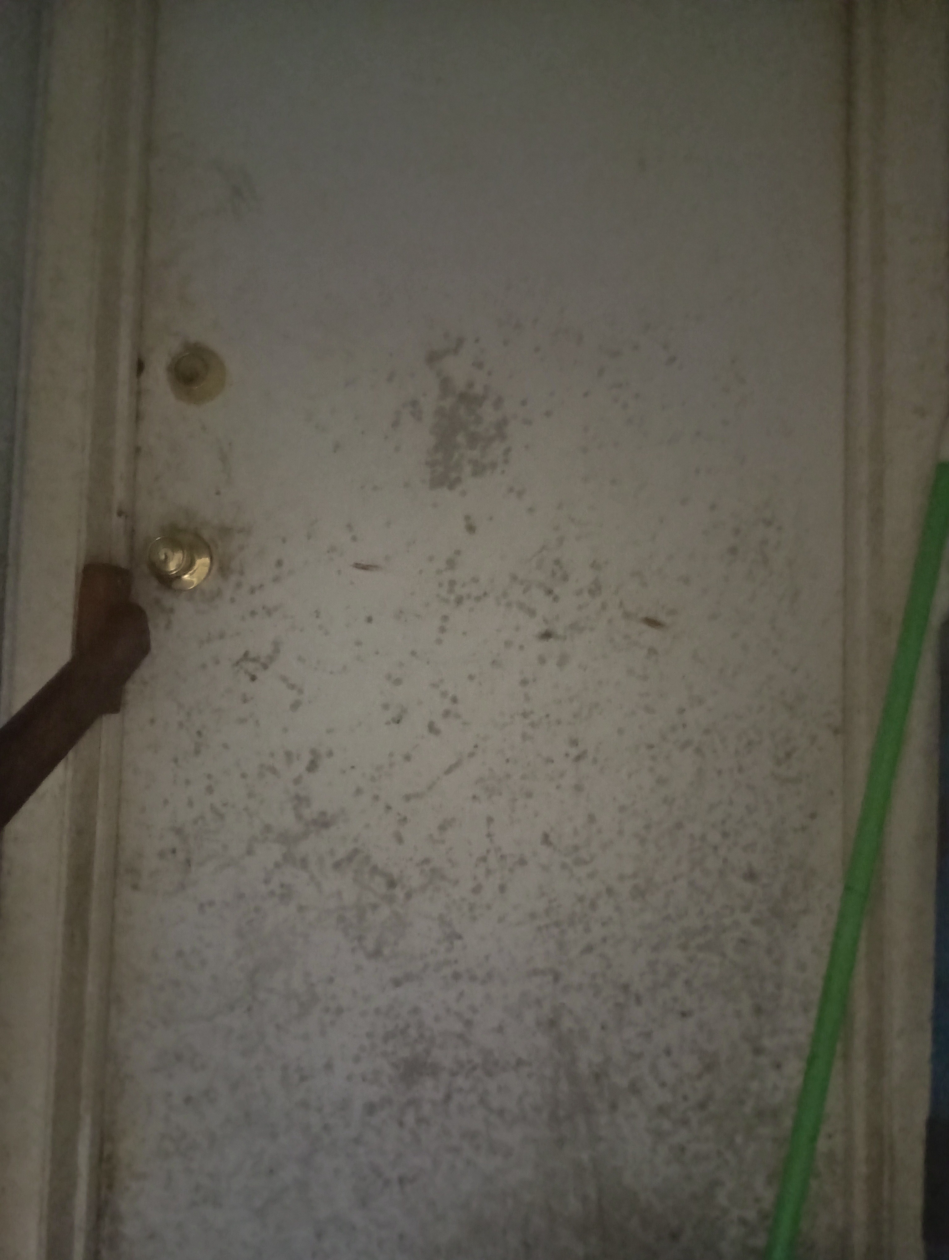 Help Lynette Remove Dangerous Mold from Home campaign photo, 7 of 8