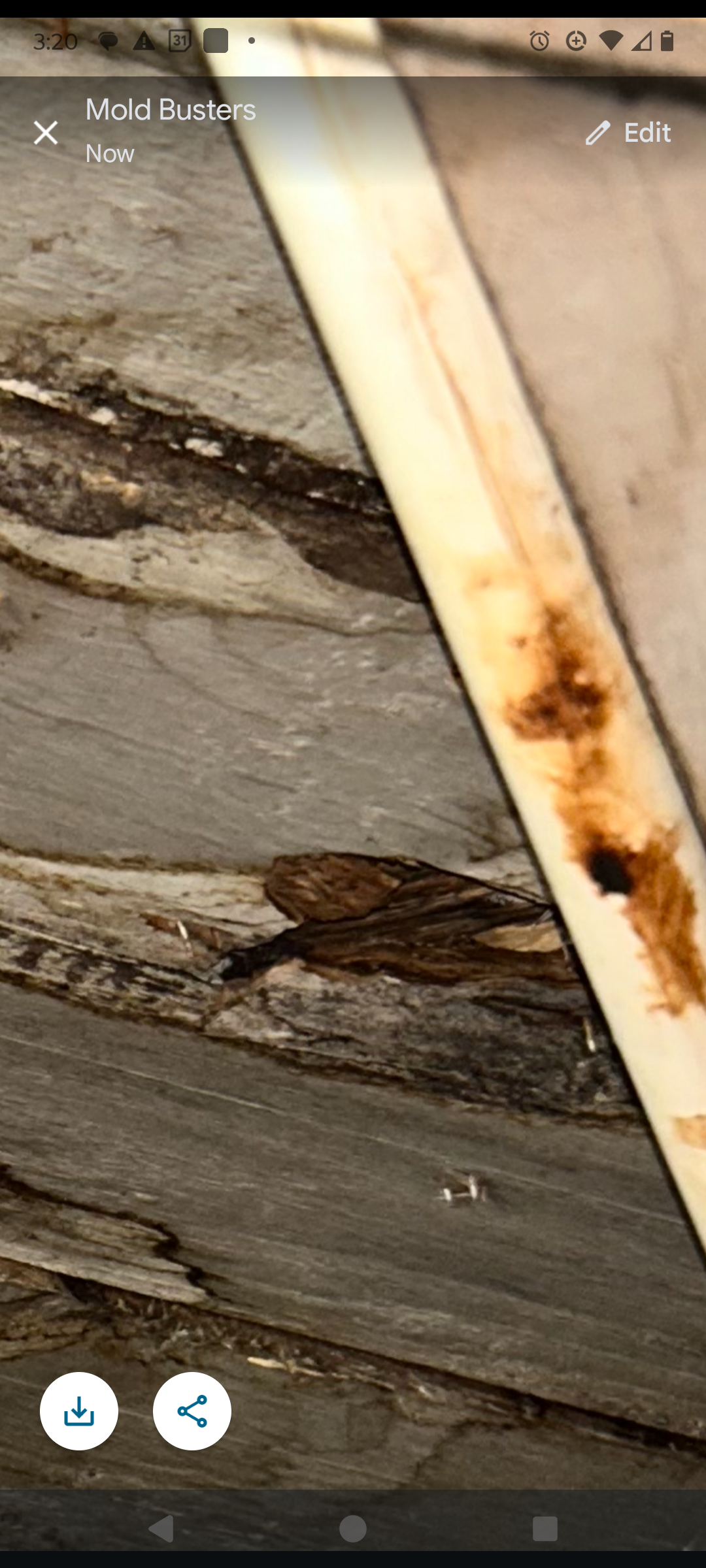 Help Lynette Remove Dangerous Mold from Home campaign photo, 2 of 8