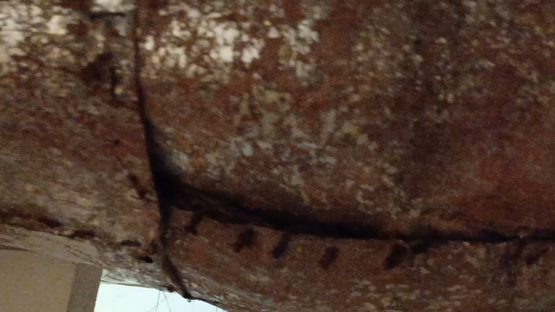 Help Lynette Remove Dangerous Mold from Home campaign photo, 4 of 8