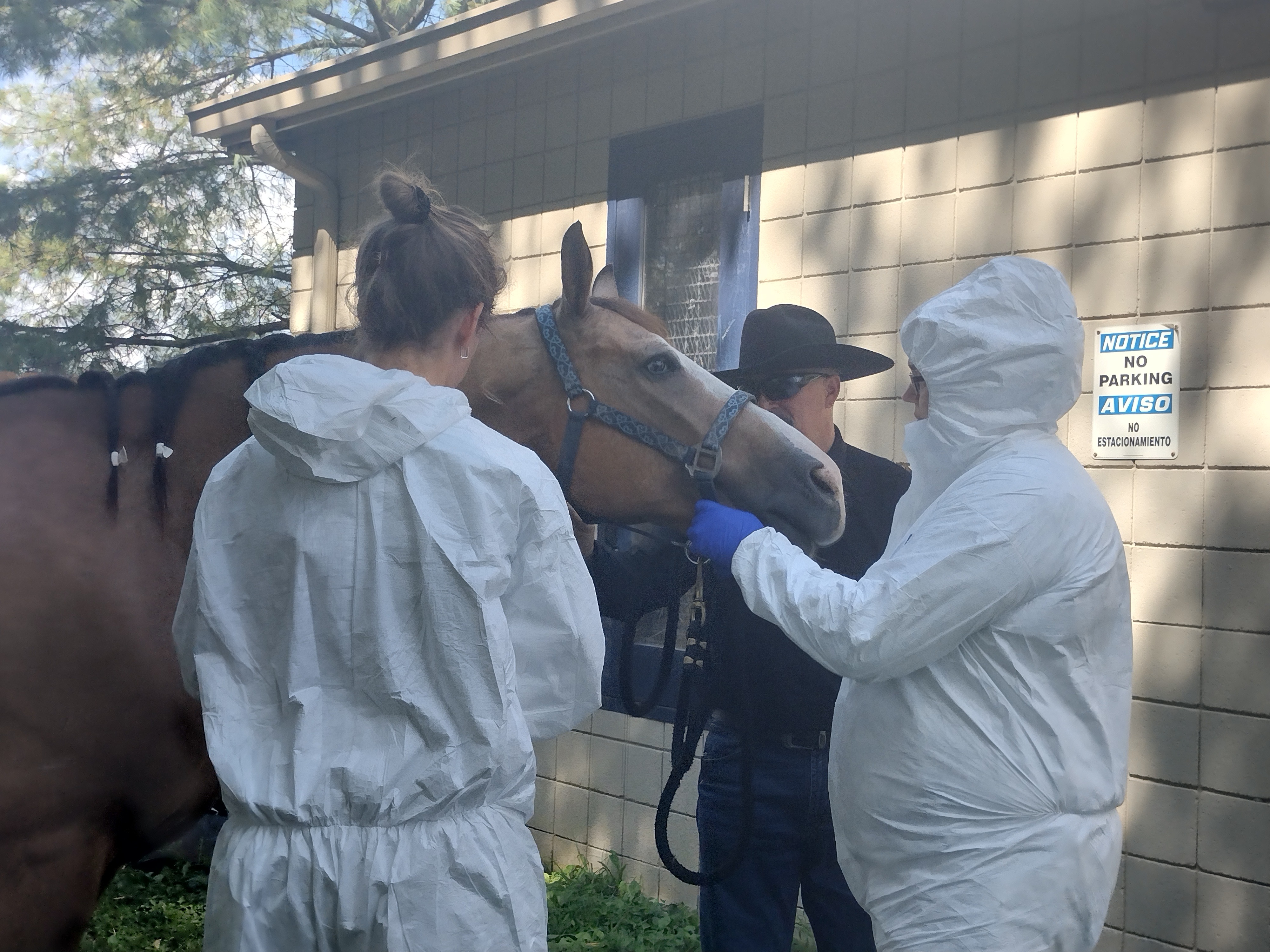 Help Troy Roark with Vet and Hospital Bills campaign photo, 4 of 8