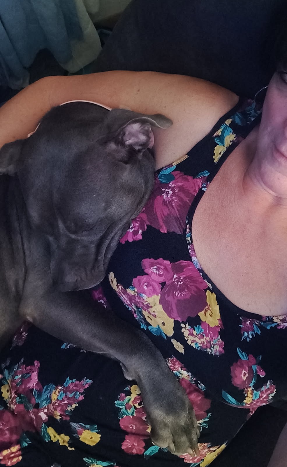 Please help us try to save Junebug! campaign photo, 5 of 8