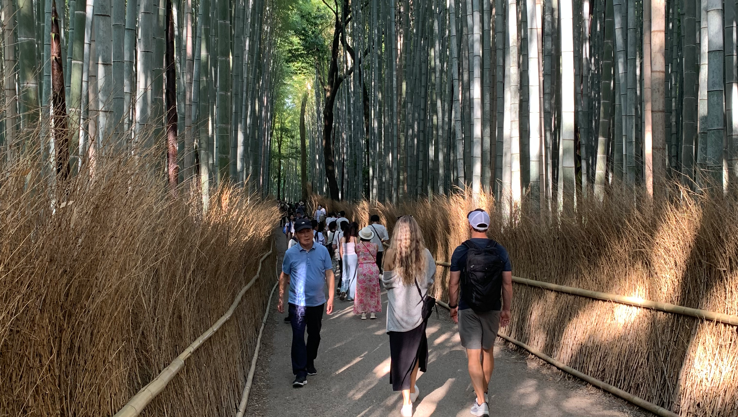 Fund Jason Bauer's Summer Study in Japan photo