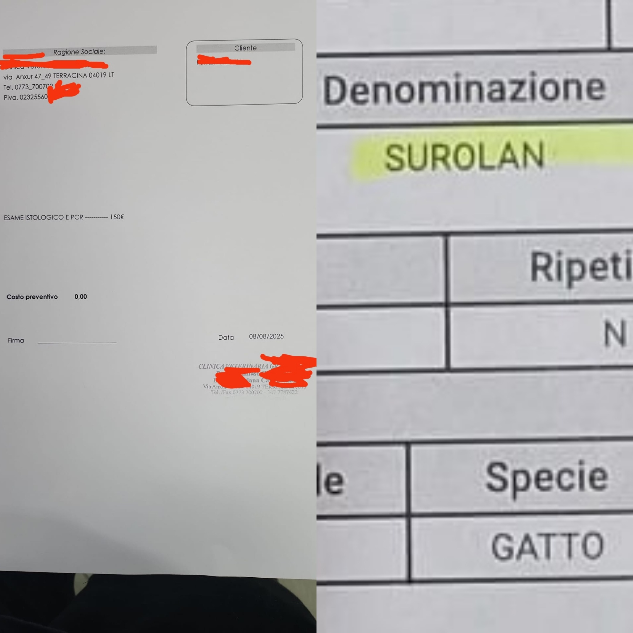 Aiutaci a salvare Max il micino con la testolina storta campaign photo, 6 of 8