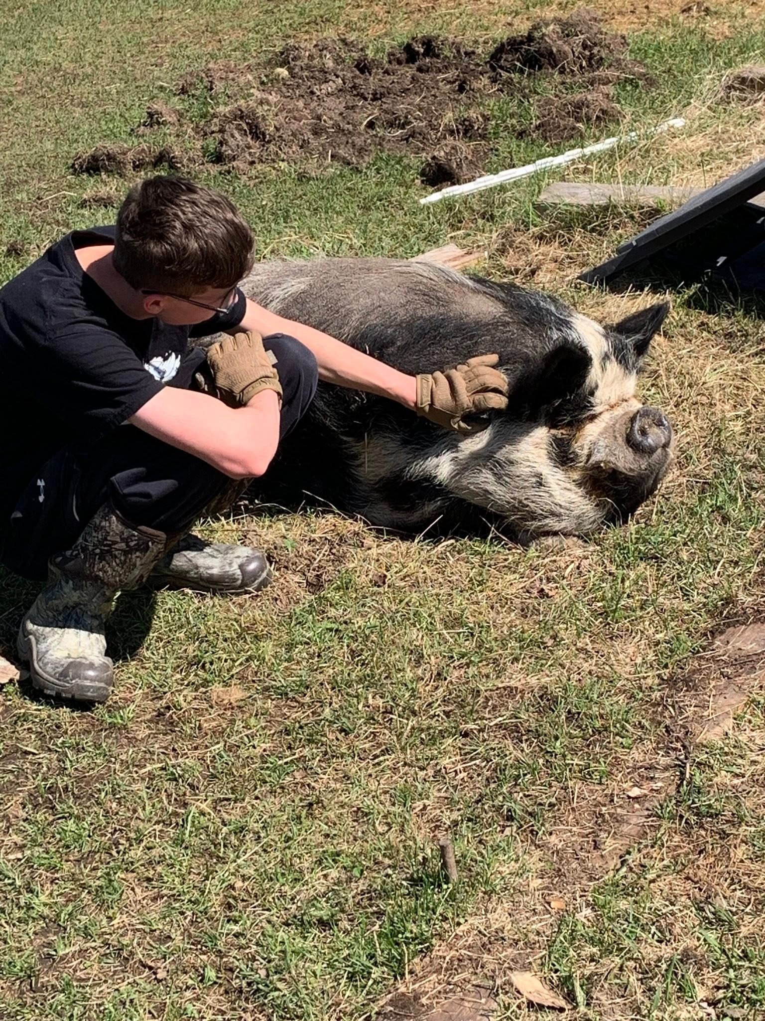 Help Relocate Rosie's Rescue Safely campaign photo, 4 of 8