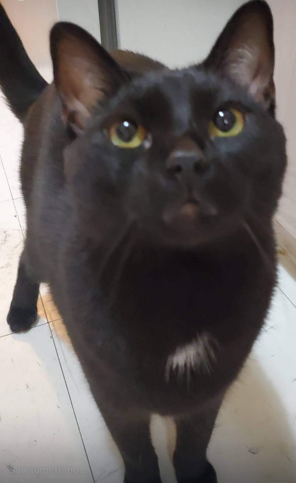 Help Fund Dax’s Medical campaign photo, 7 of 8