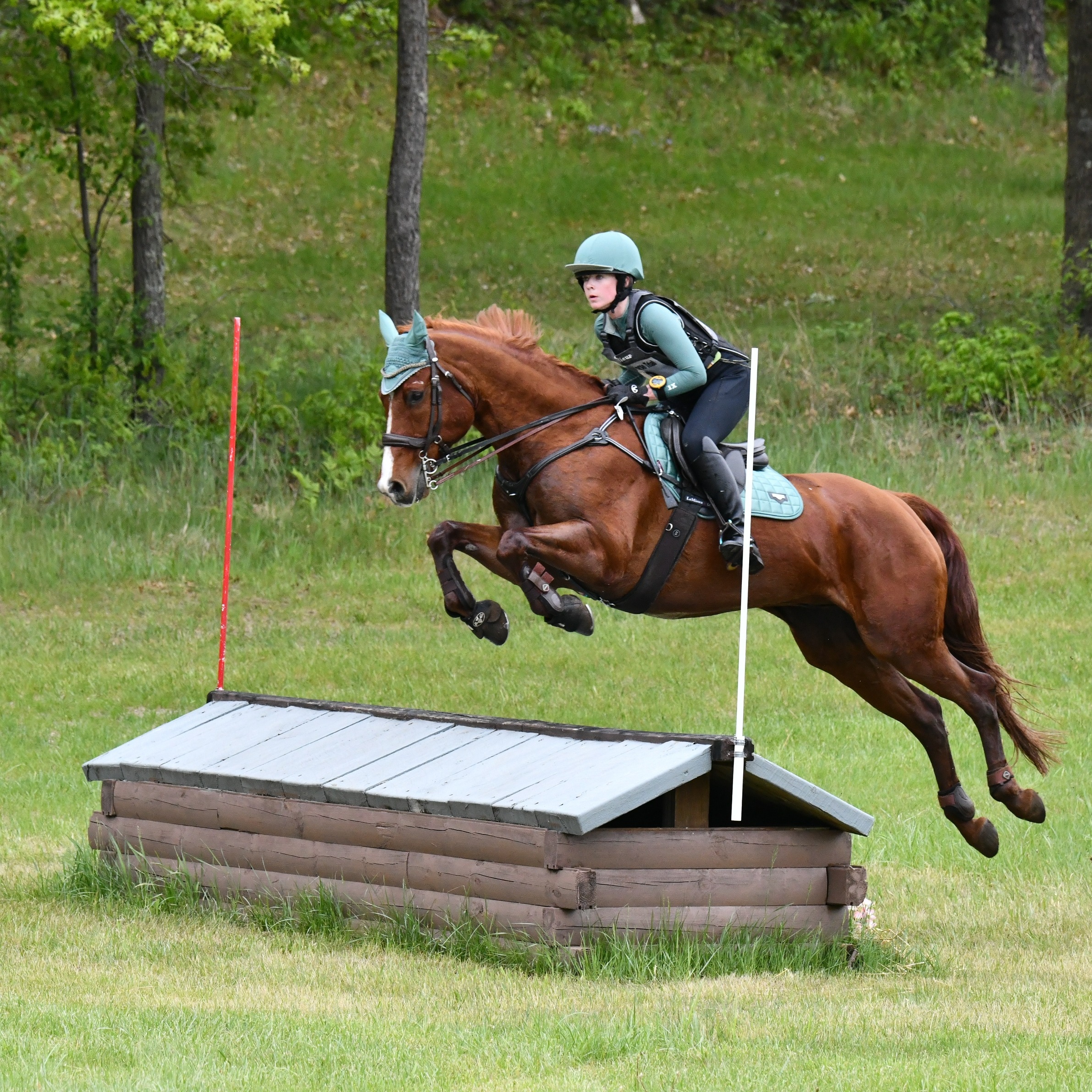Help support Logan's Journey with USEA Young Riders campaign photo, 4 of 5