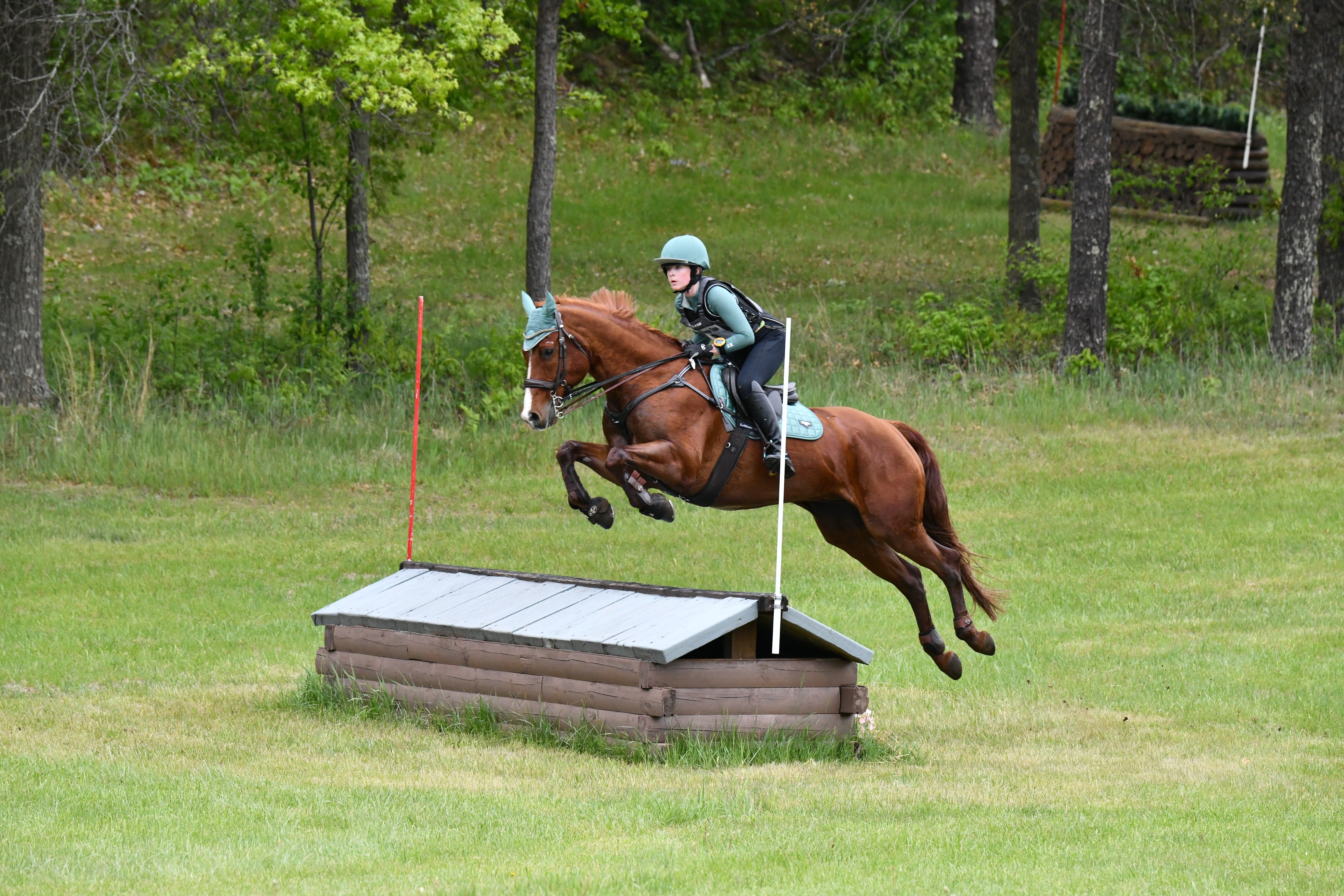 Help support Logan's Journey with USEA Young Riders campaign photo, 2 of 5
