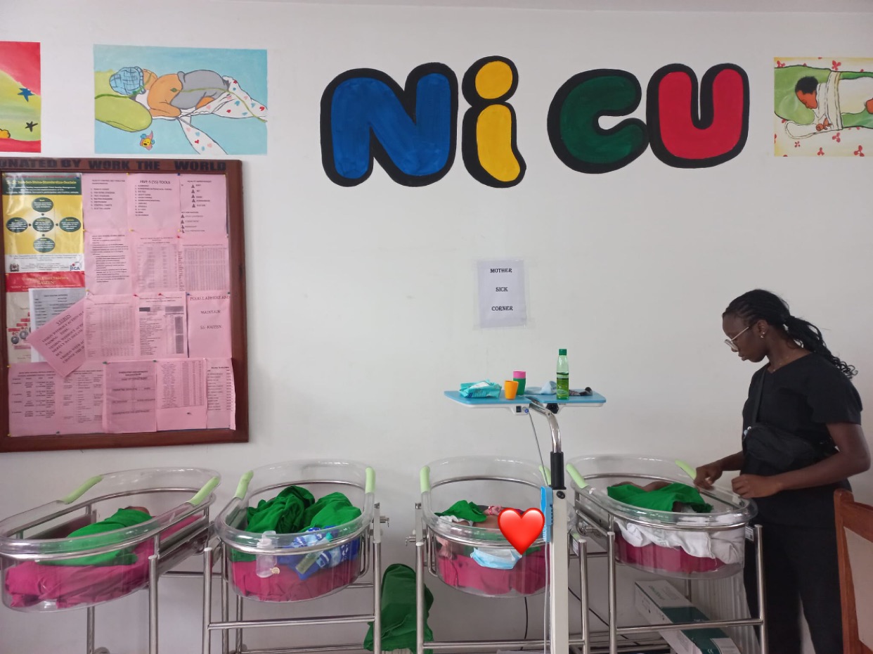 Support Neonatal Care in Arusha, Tanzania campaign photo, 7 of 7