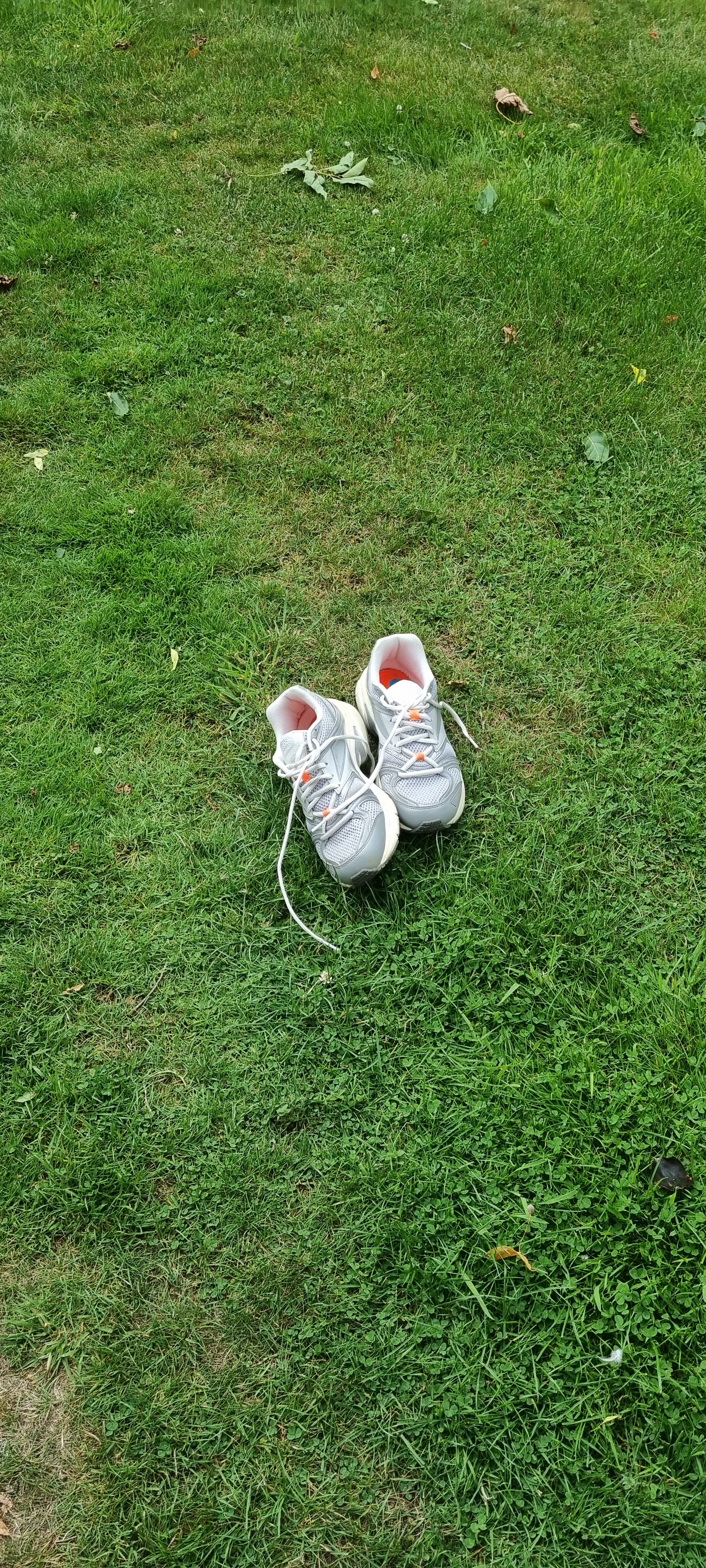 User-uploaded image 1