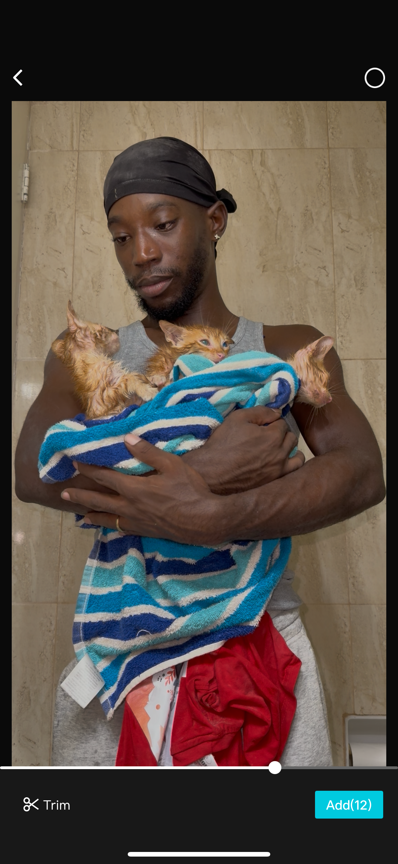RESCUE KITTENS campaign photo, 5 of 6