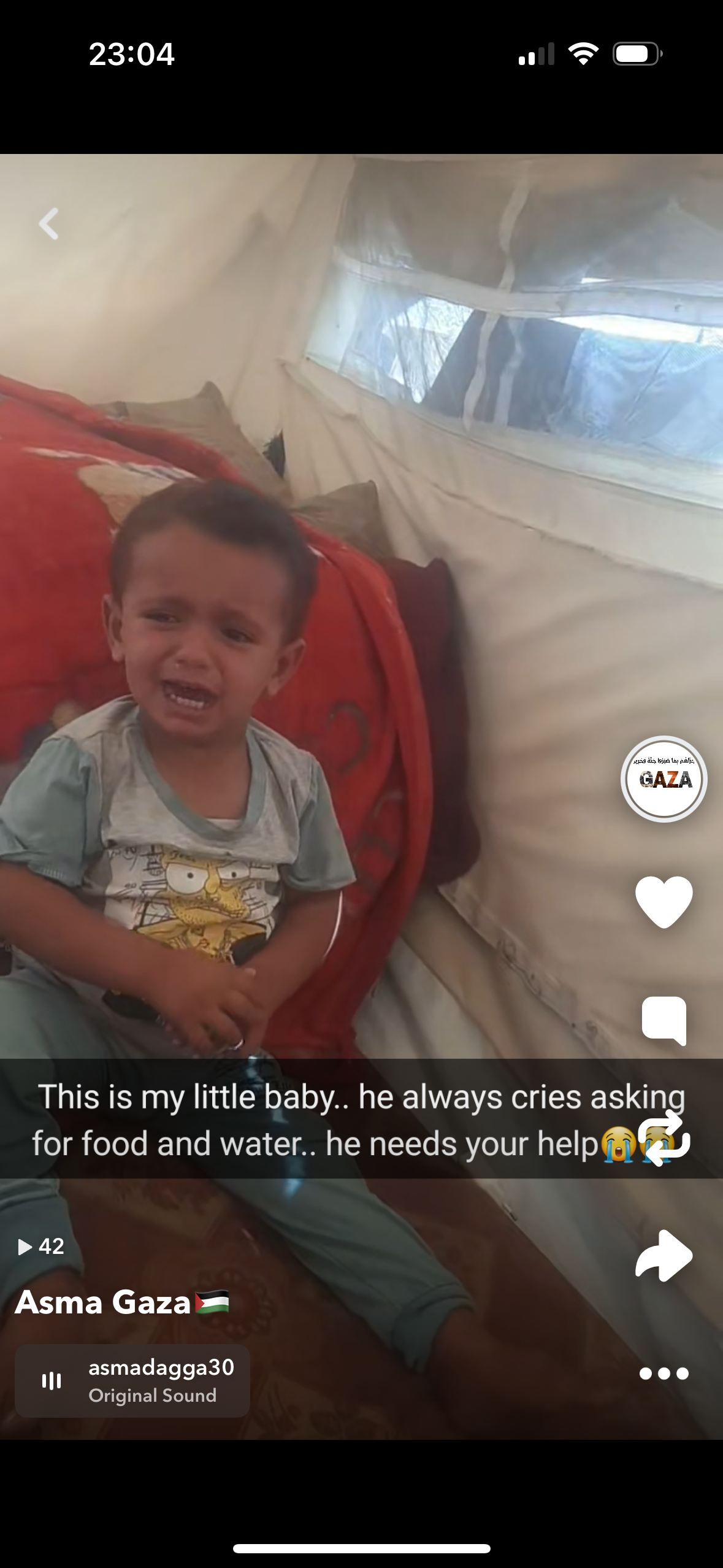 Gaza: family urgently need your help to survive. campaign photo, 2 of 8